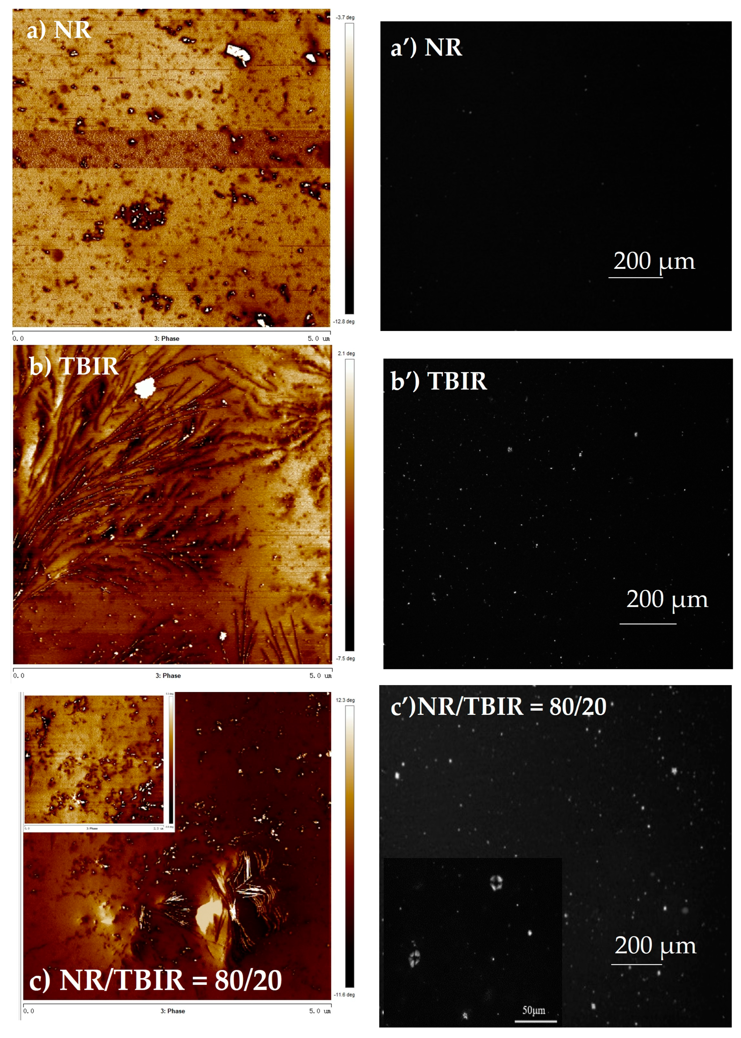 Polymers 16 00345 g006a