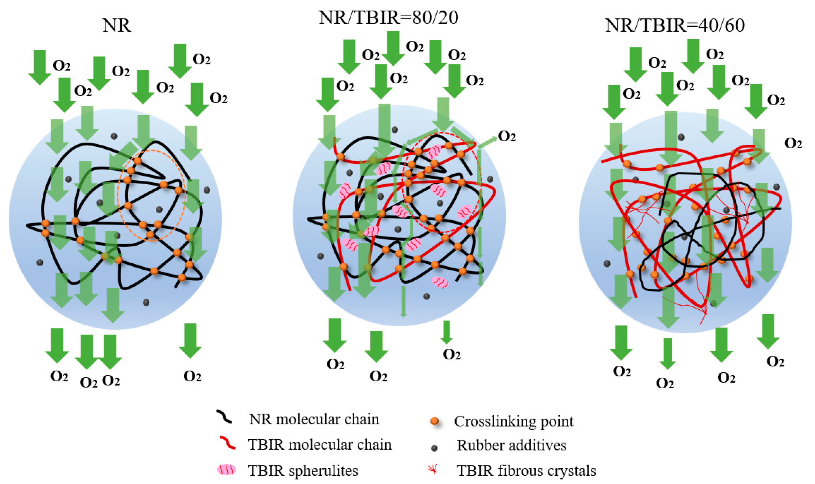 Polymers 16 00345 sch001