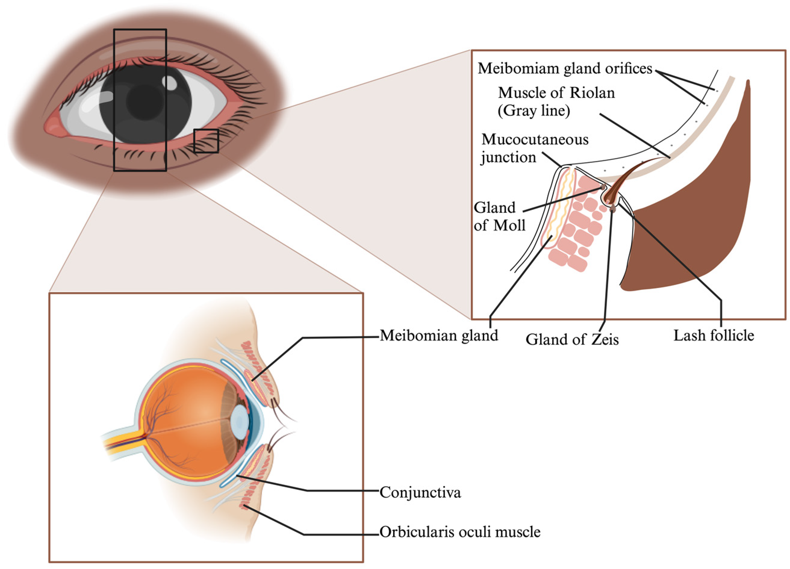 Polymers 16 00352 g001 Polymers 16 00352 g001