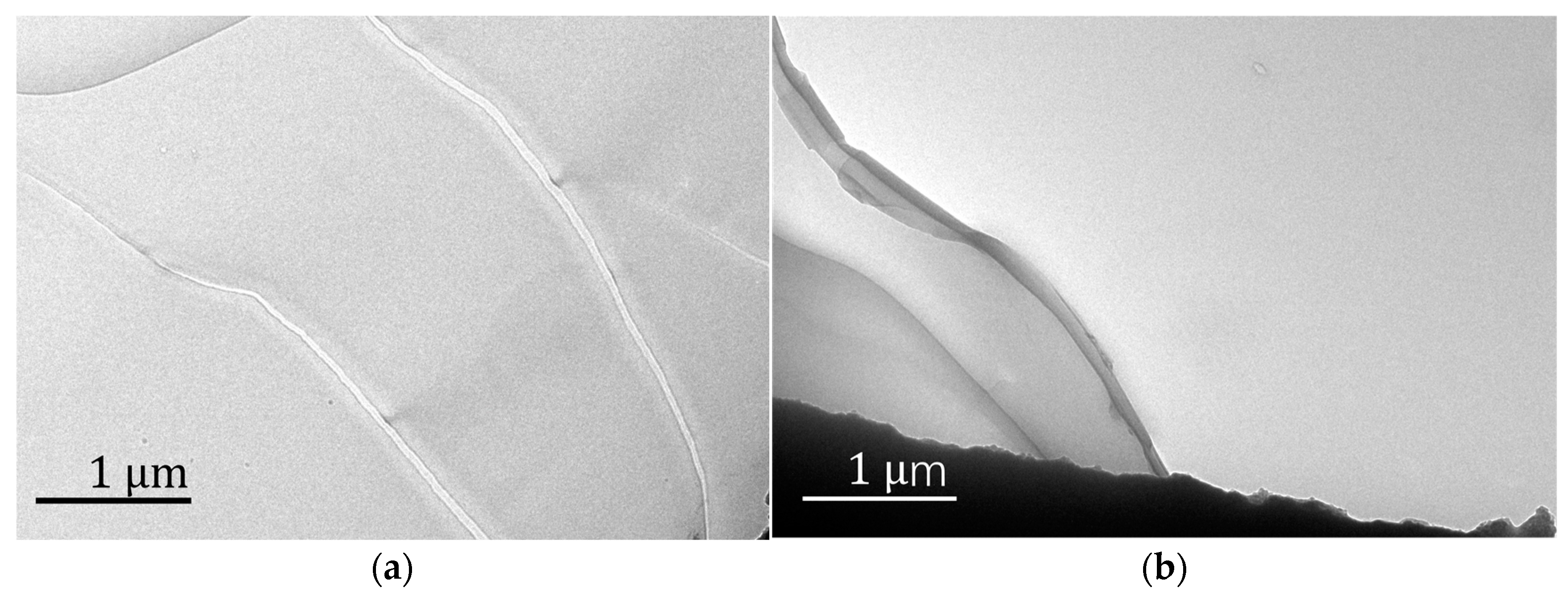Polymers 16 00353 g005