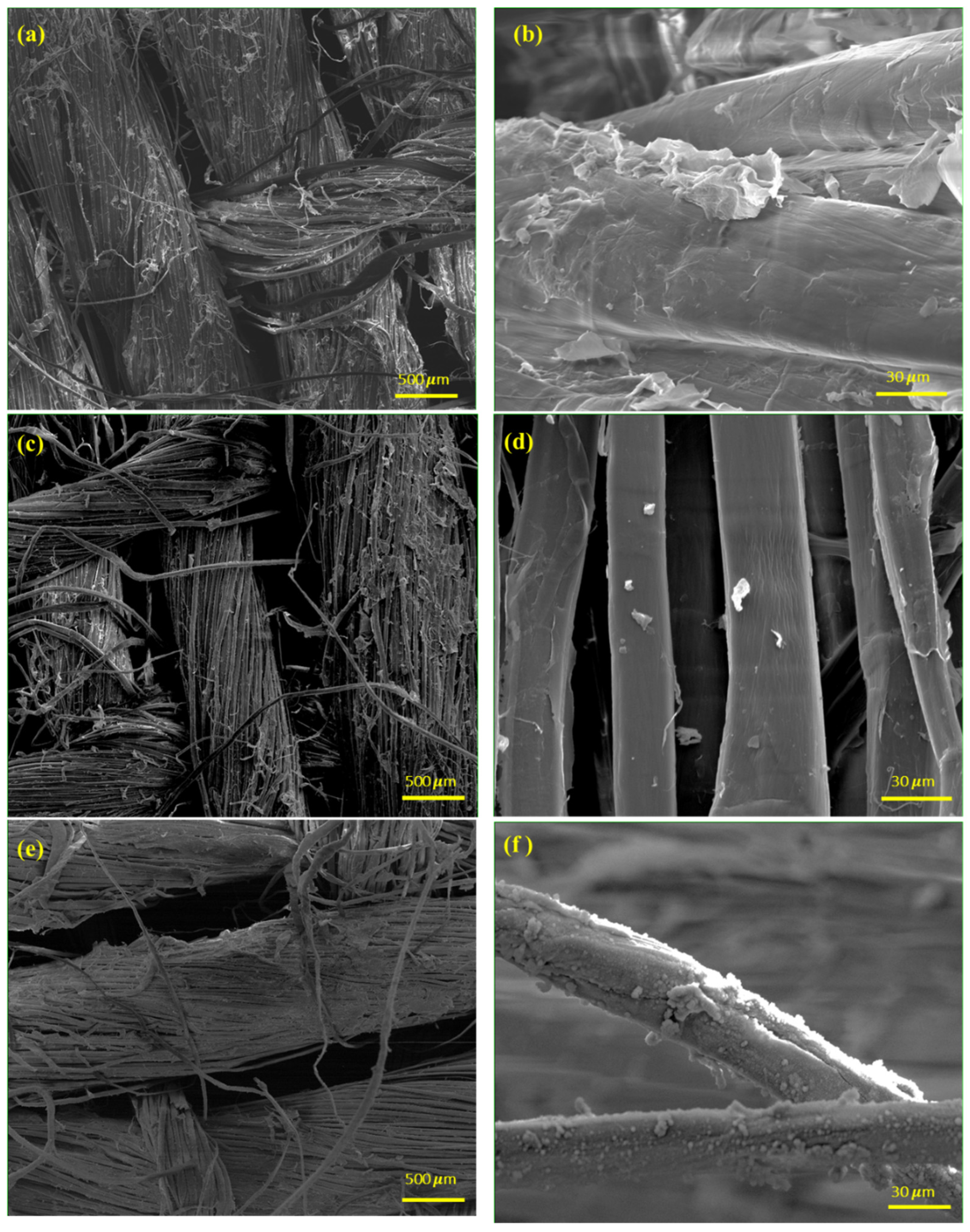 Polymers 16 00360 g002