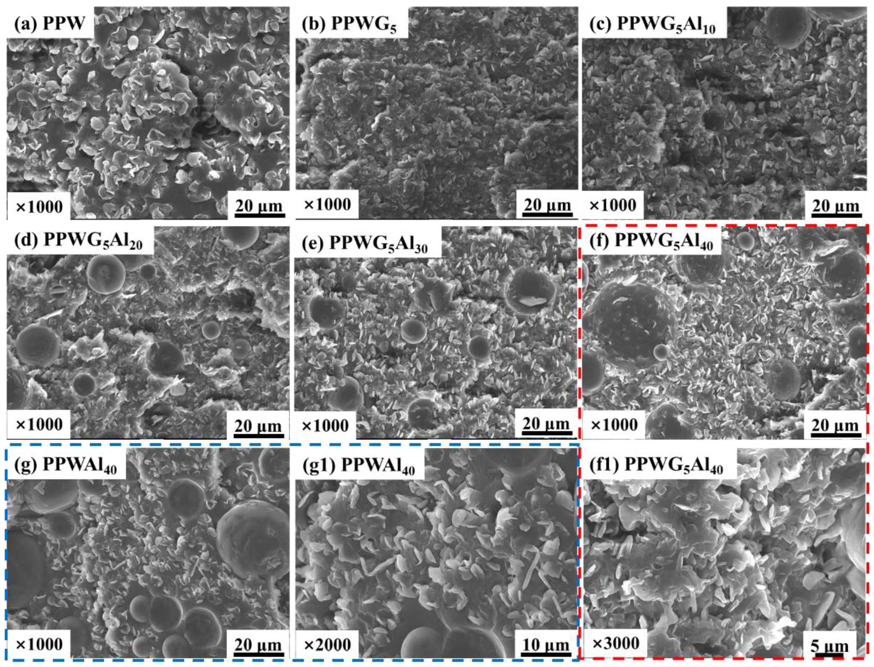 Polymers 16 00362 g002