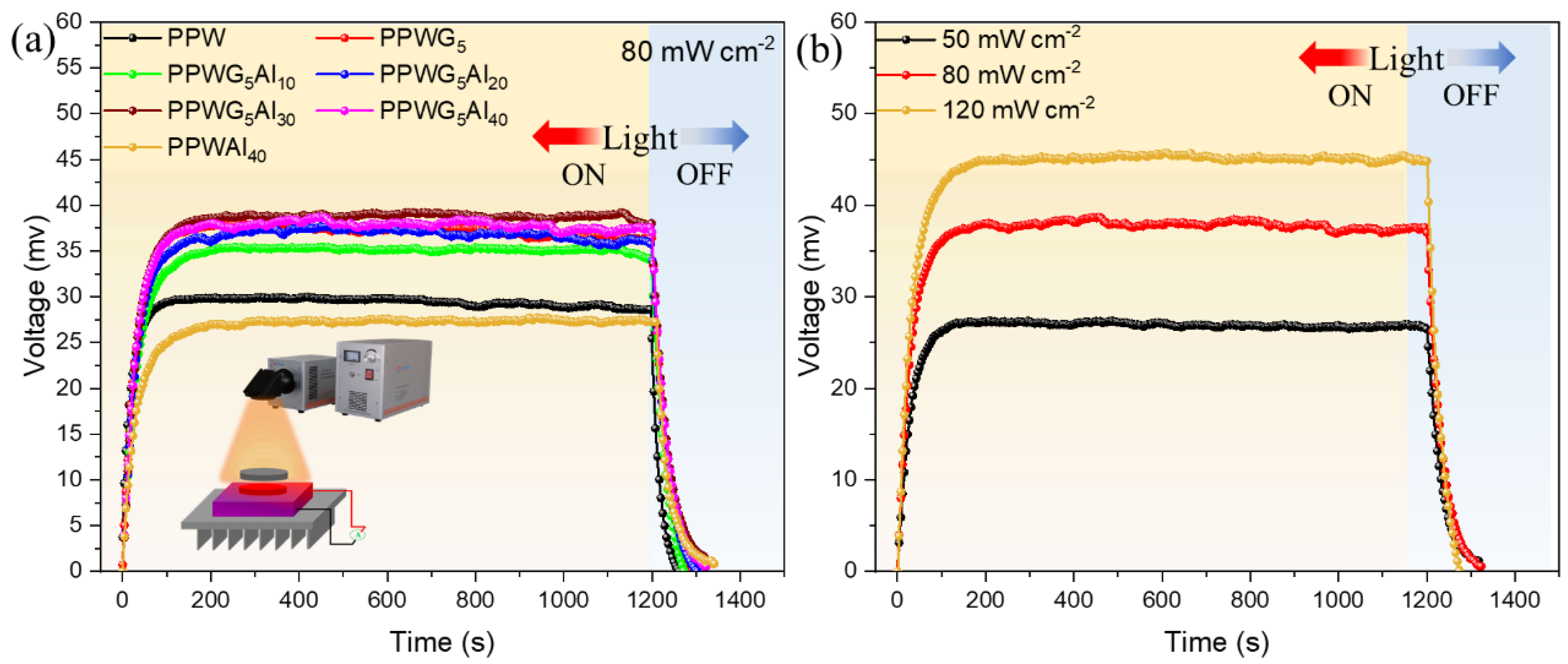 Polymers 16 00362 g008