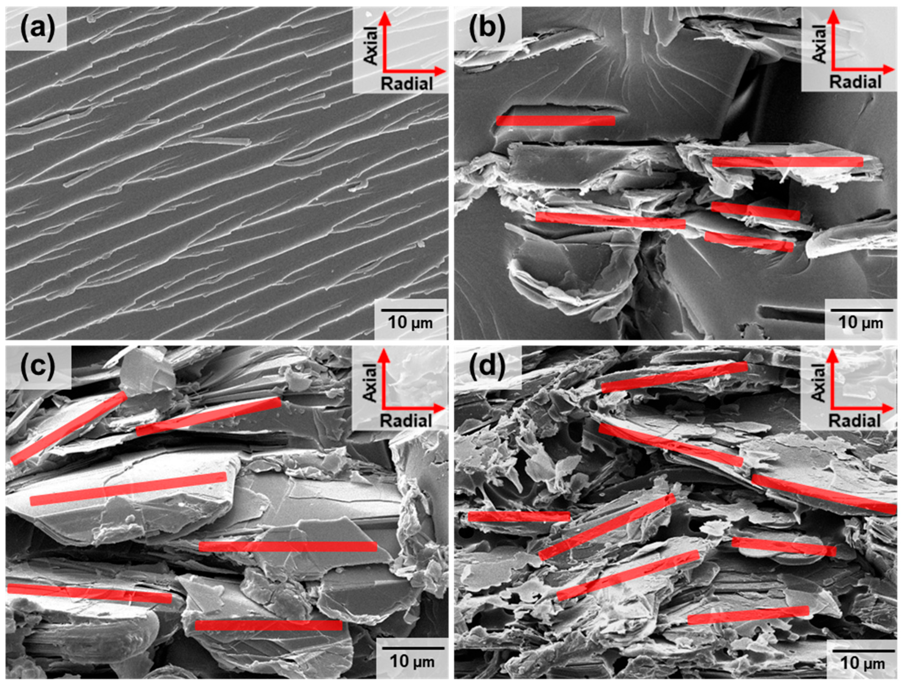 Polymers 16 00365 g006