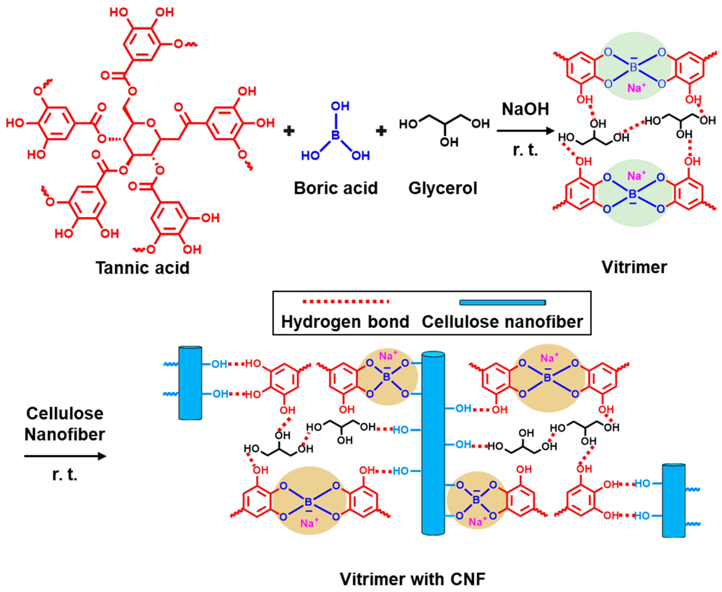 Polymers 16 00365 g010