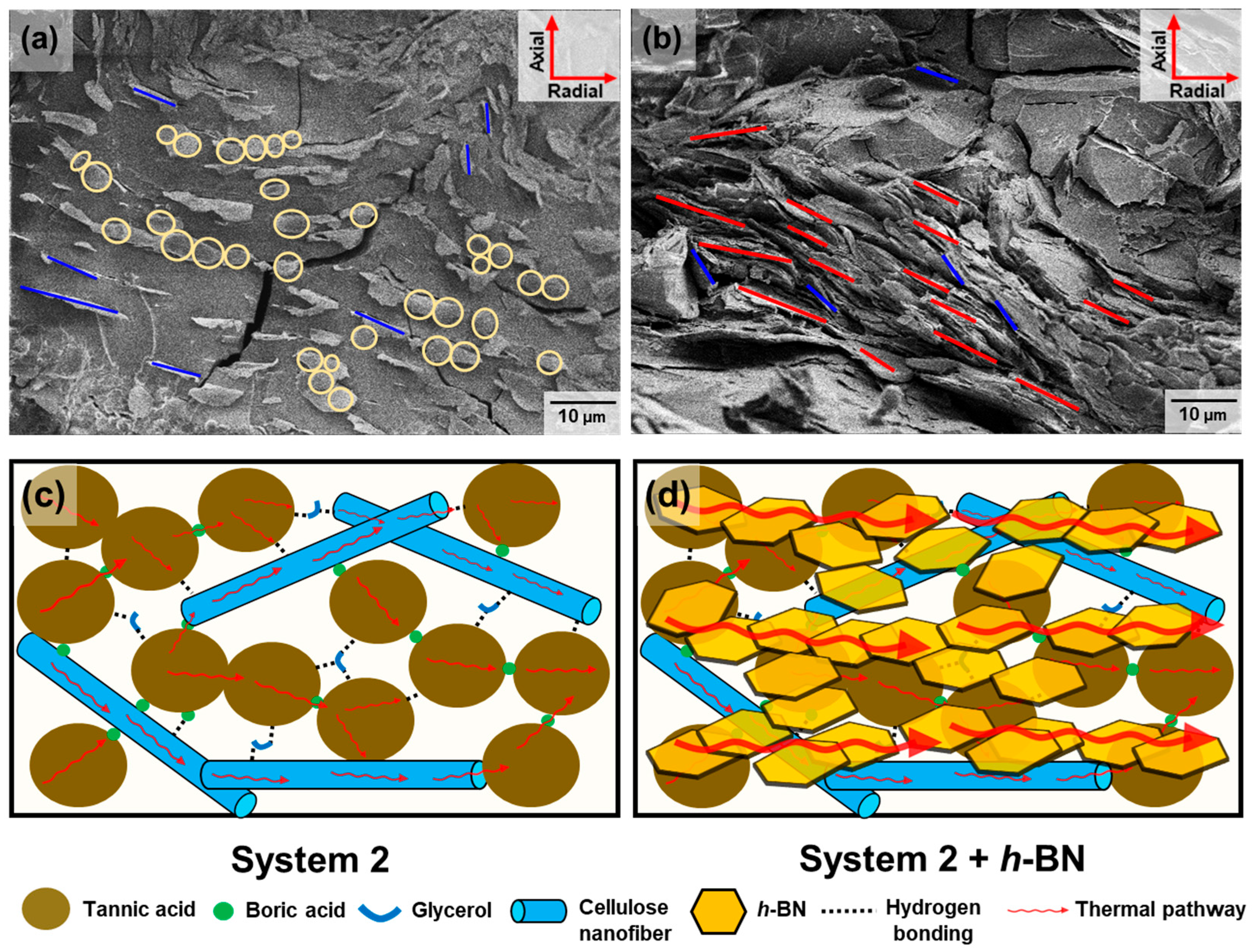 Polymers 16 00365 g013