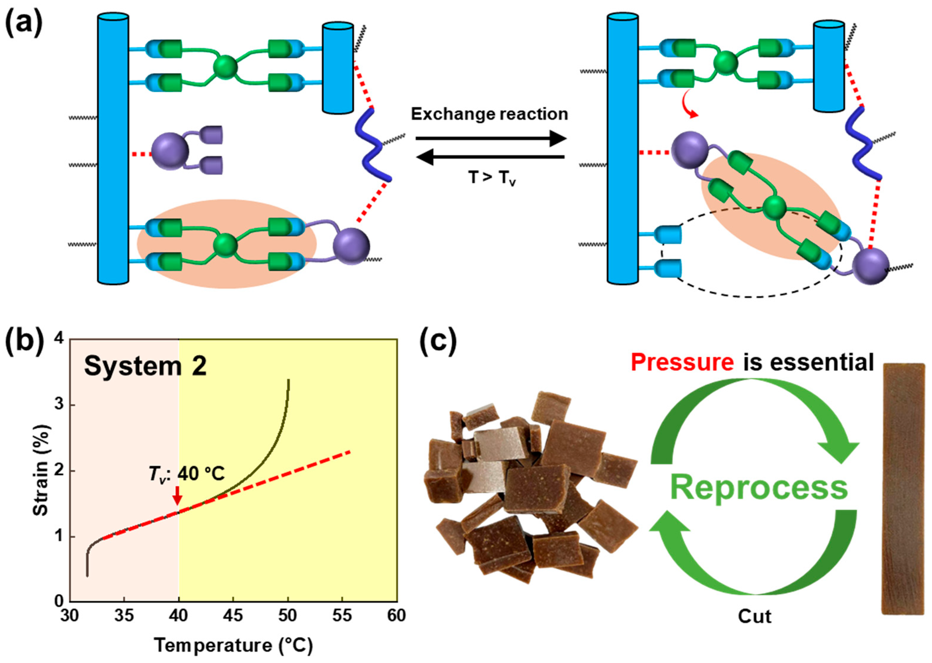 Polymers 16 00365 g014