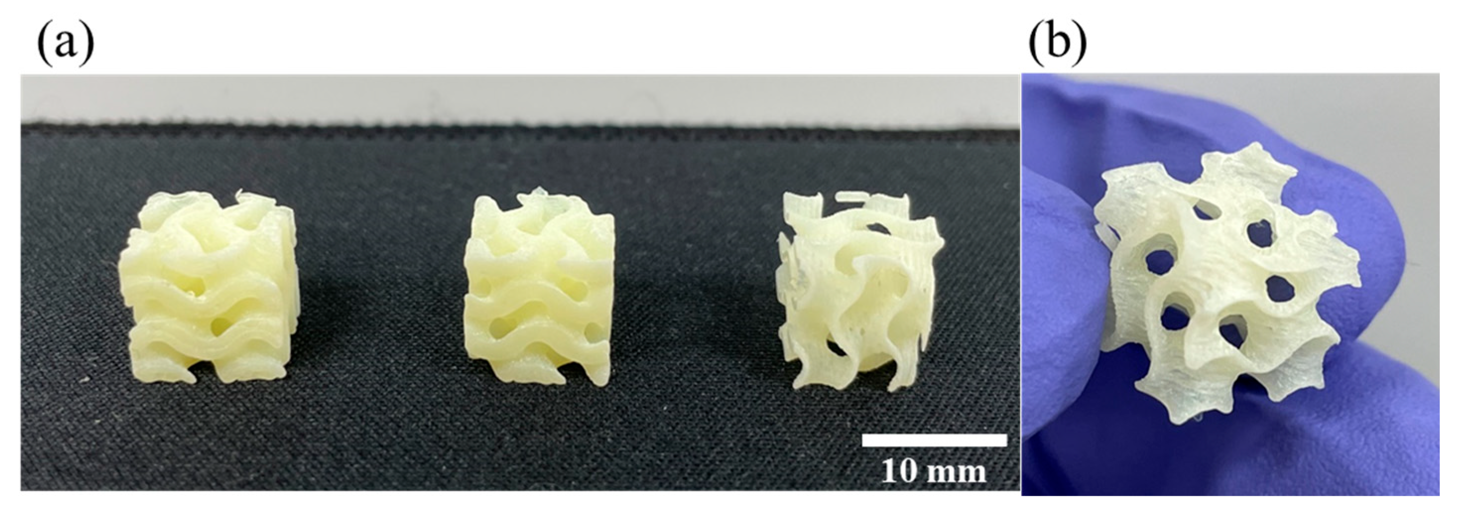 Polymers 16 00370 g011