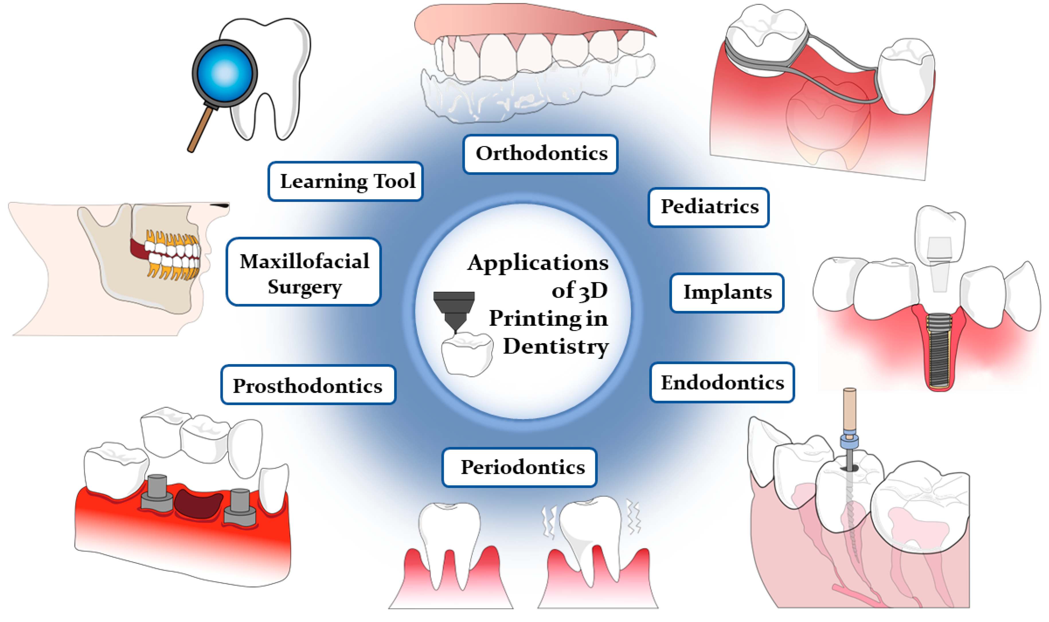 Polymers 16 00371 g002