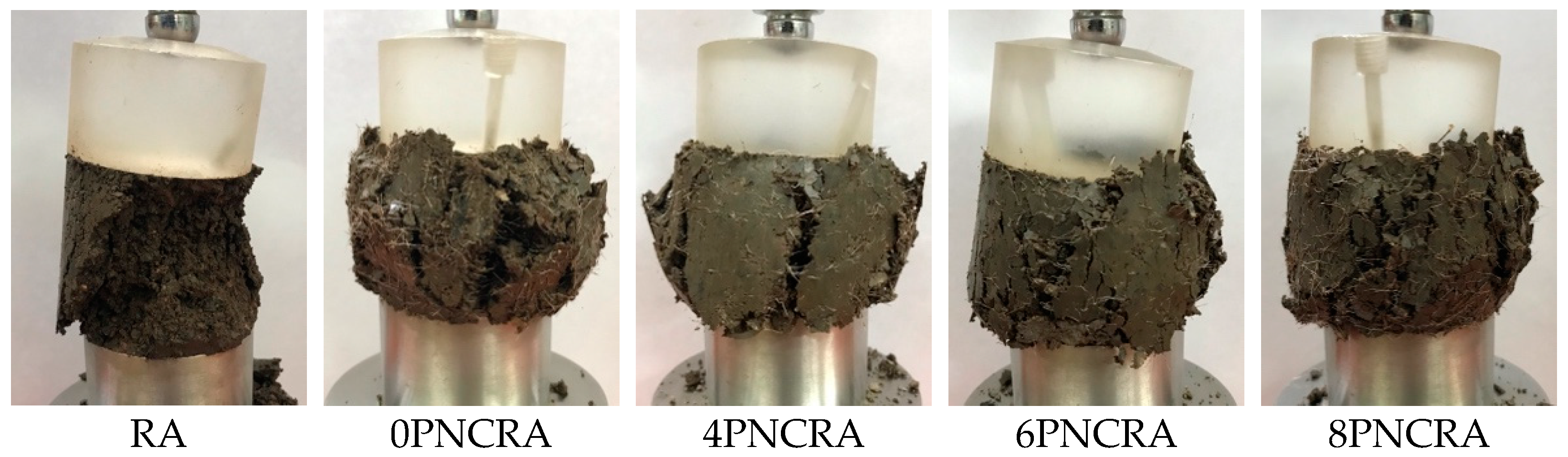 Polymers 16 00374 g005