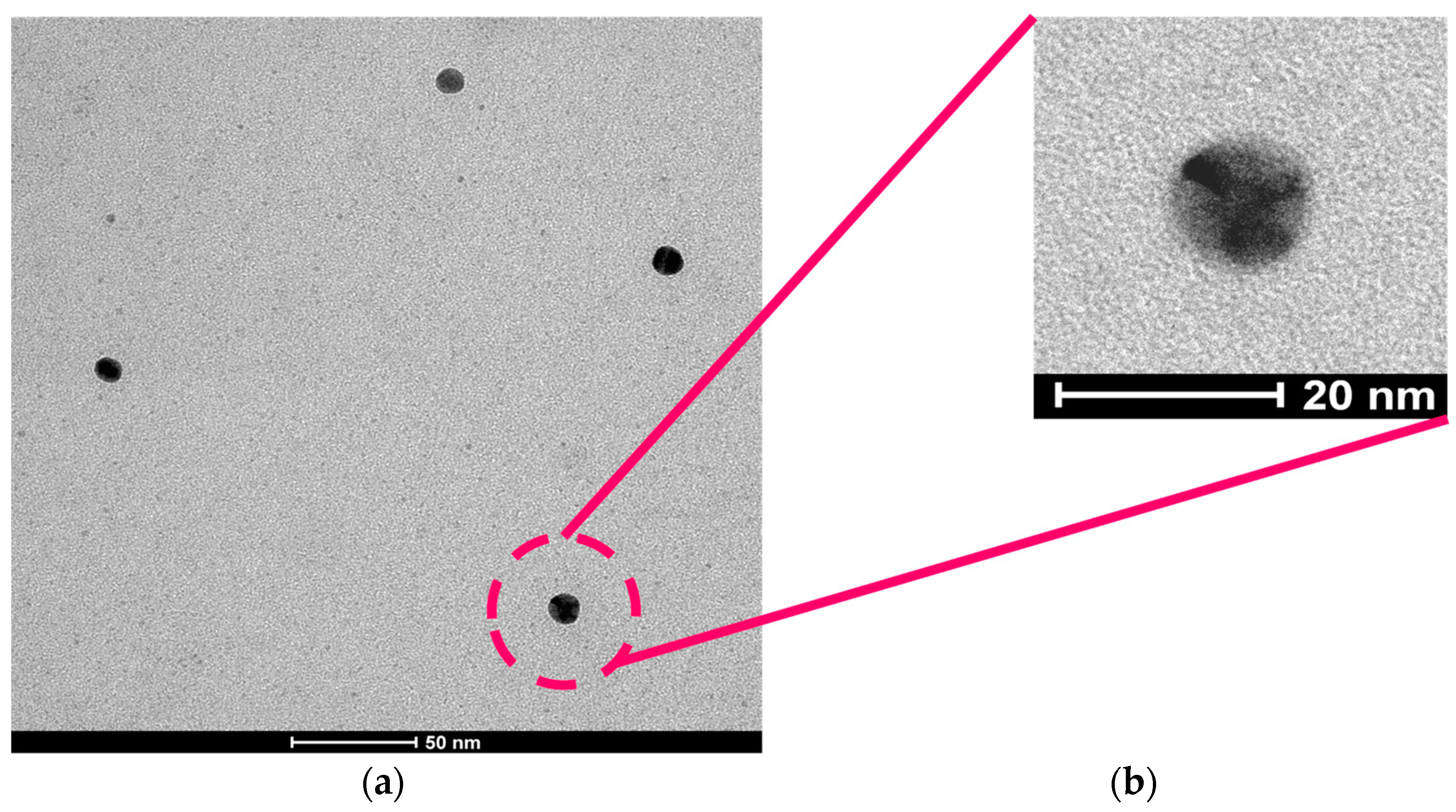 Polymers 16 00378 g003