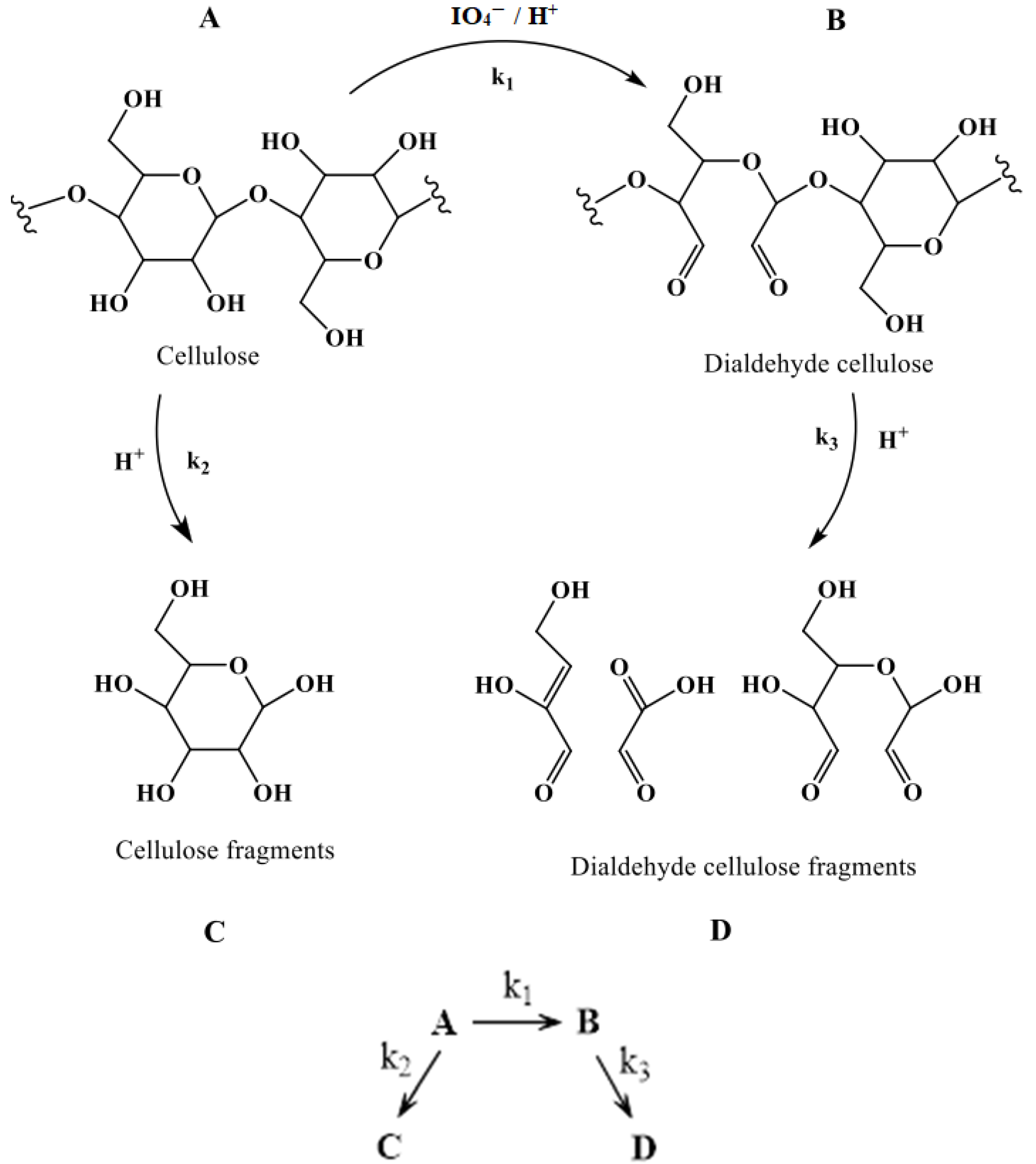 Polymers 16 00381 g004