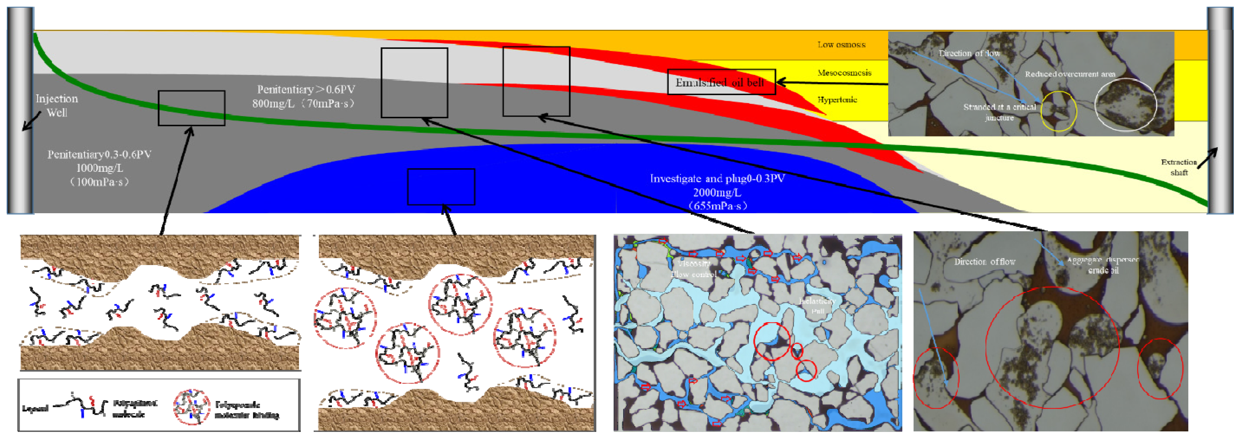 Polymers 16 00383 g010