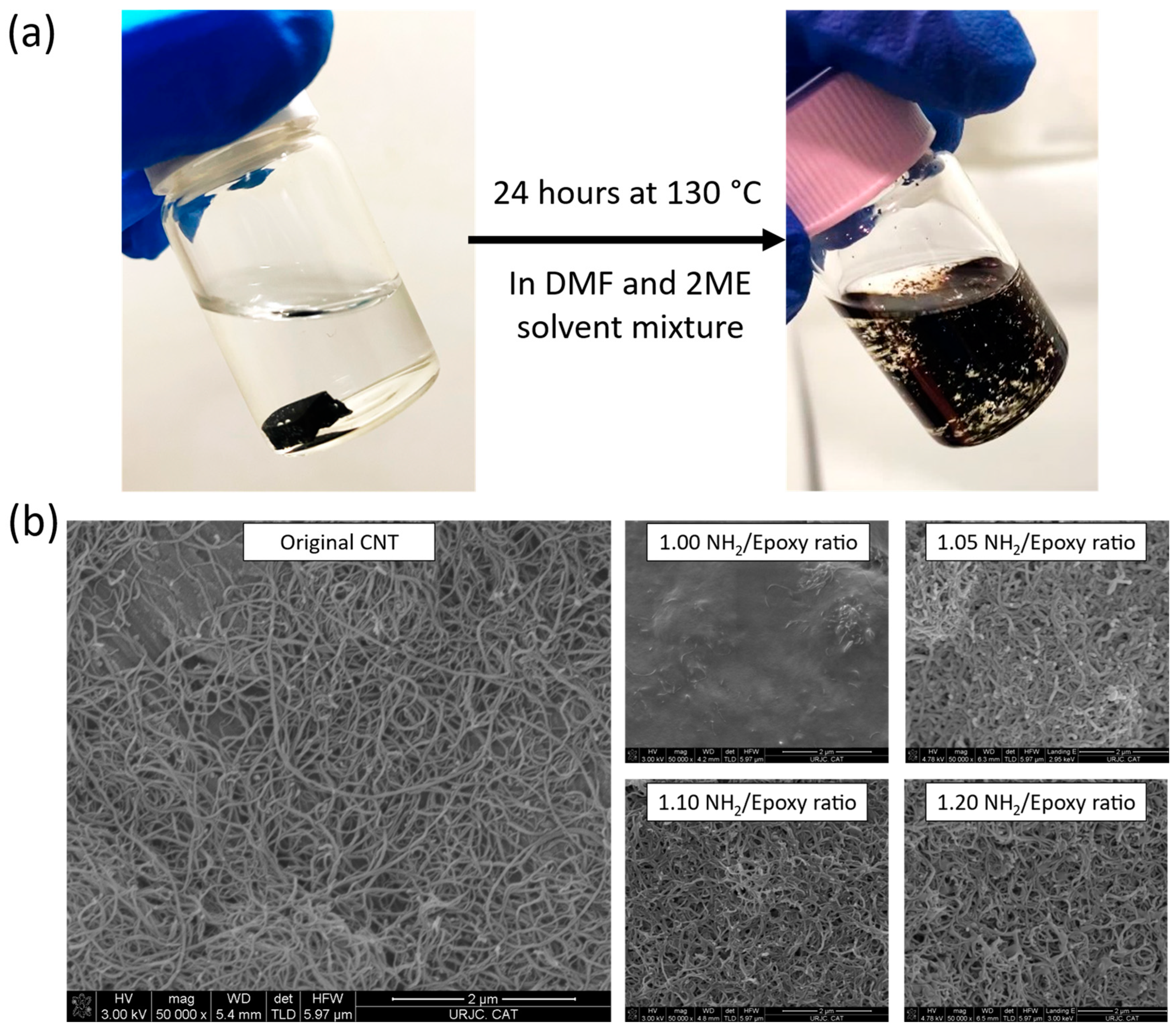 Polymers 16 00388 g007