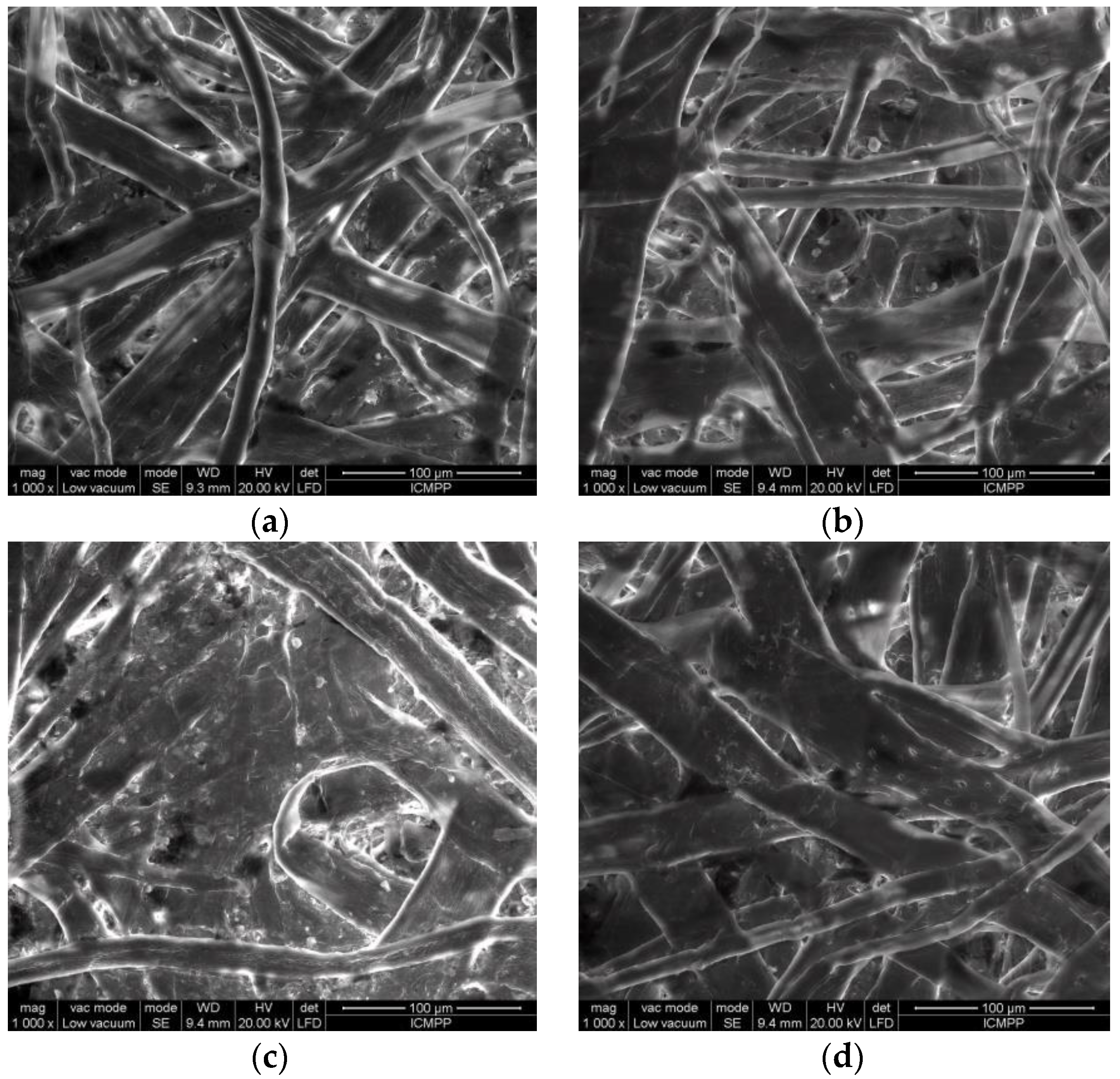 Polymers 16 00389 g002