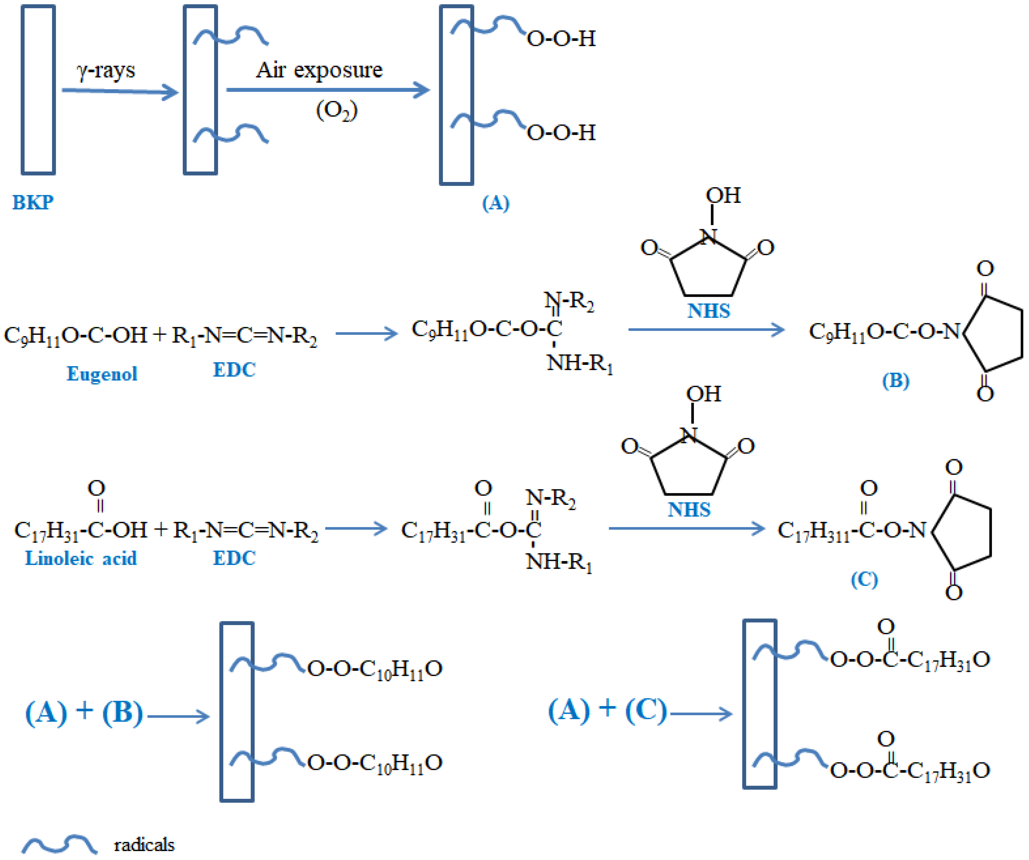 Polymers 16 00389 sch001