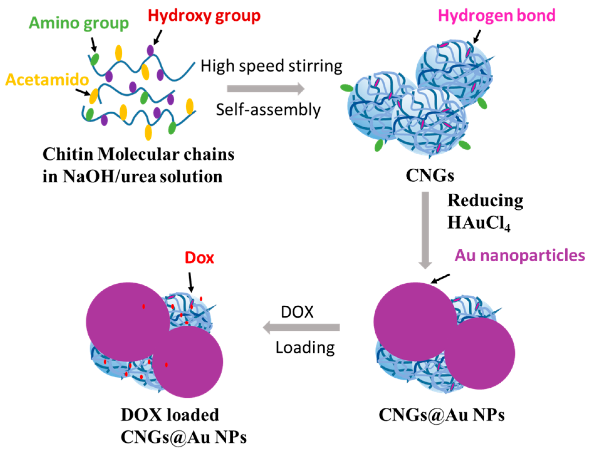 Polymers 16 00390 g001