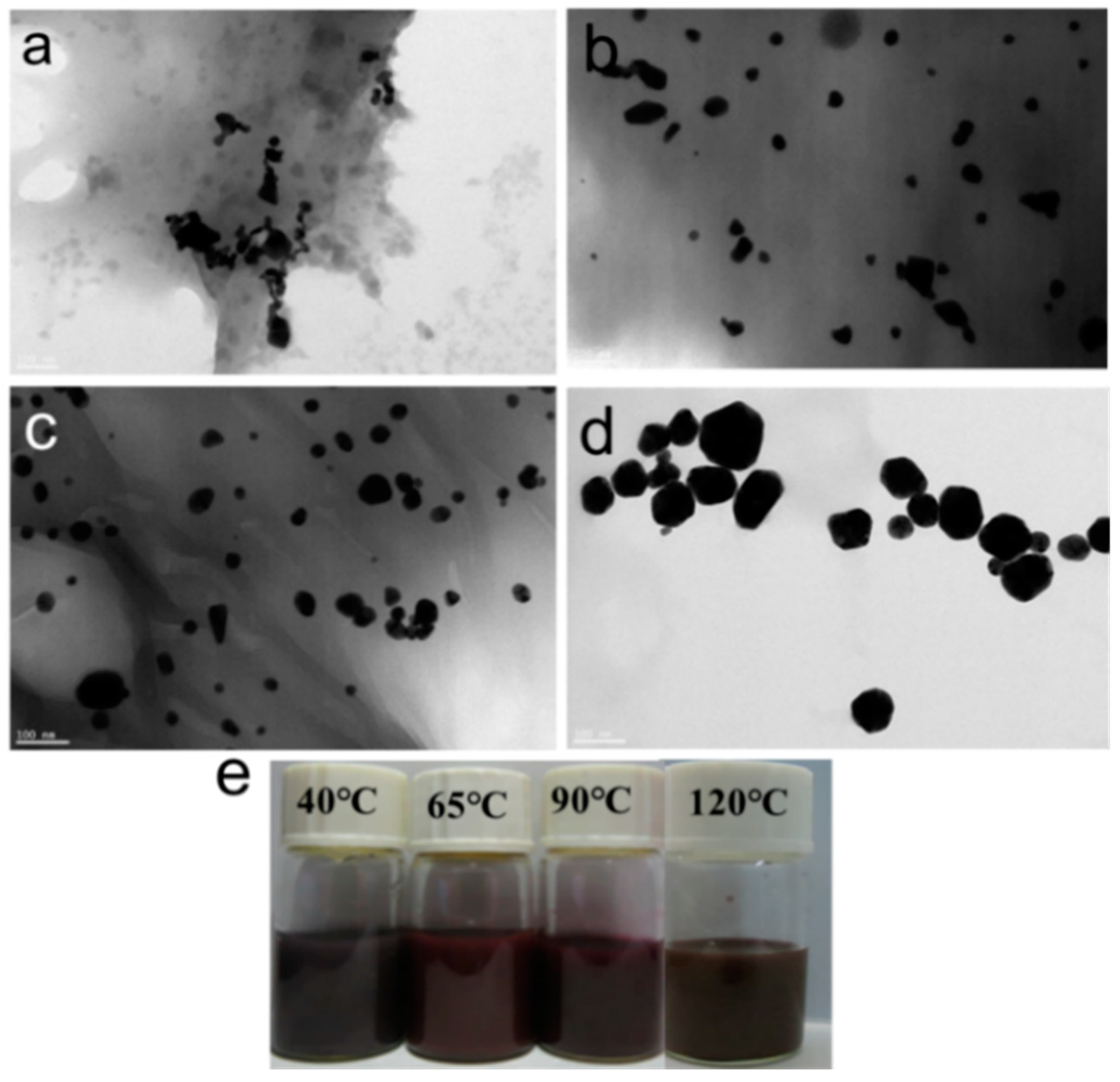 Polymers 16 00390 g006