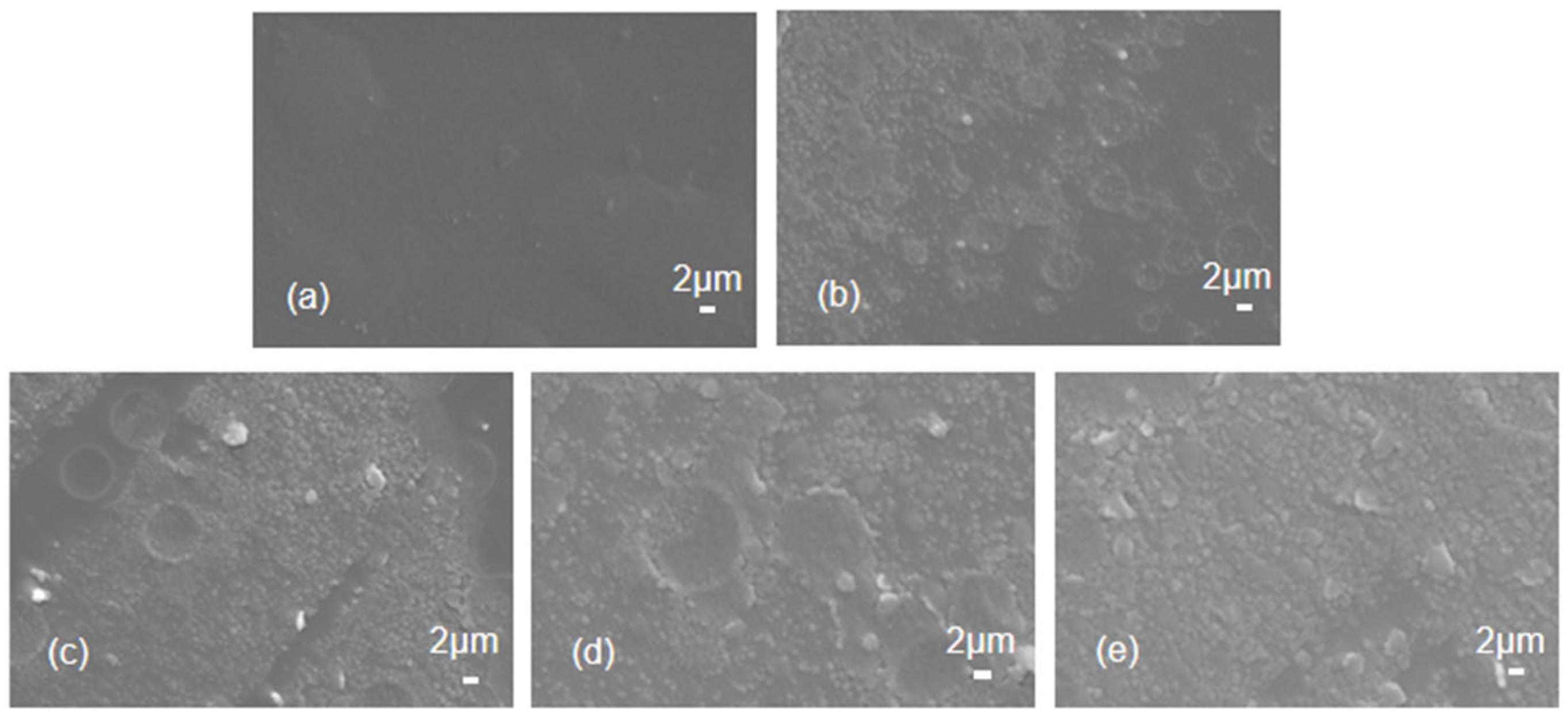 Polymers 16 00393 g001