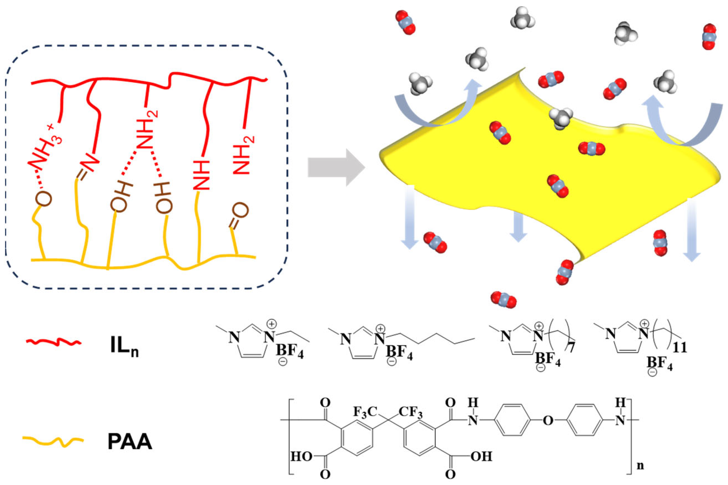 Polymers 16 00393 g002
