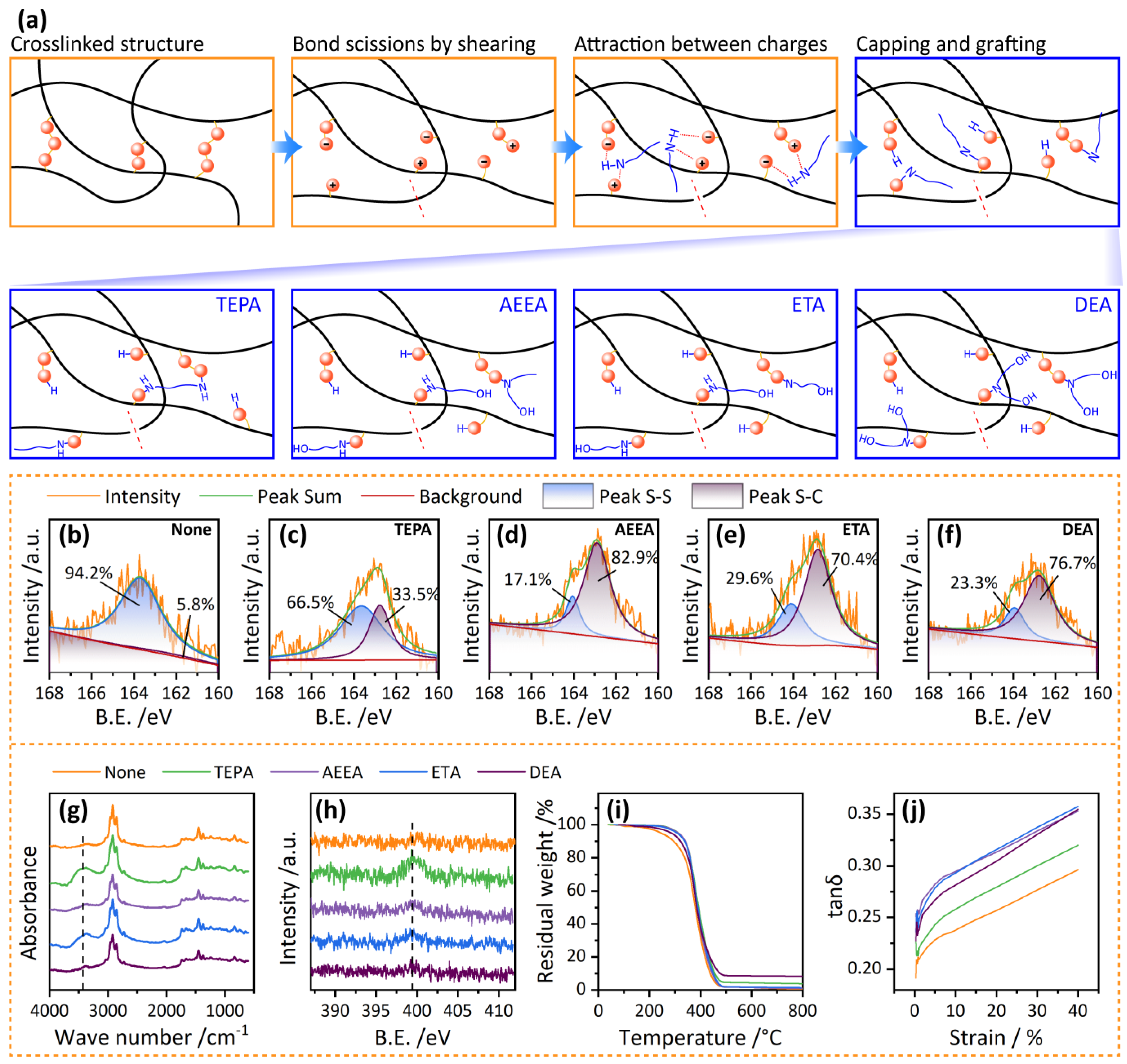 Polymers 16 00395 g002
