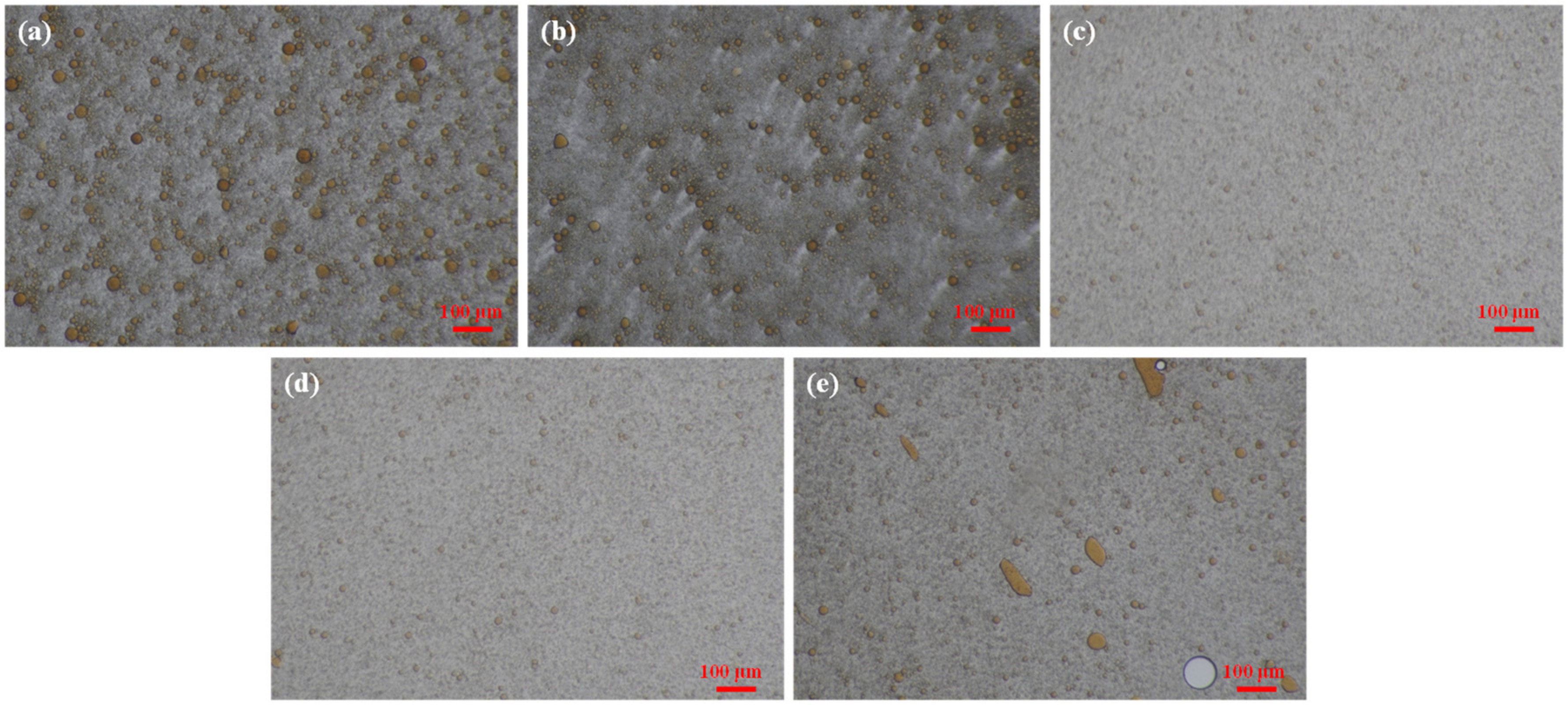 Polymers 16 00397 g004