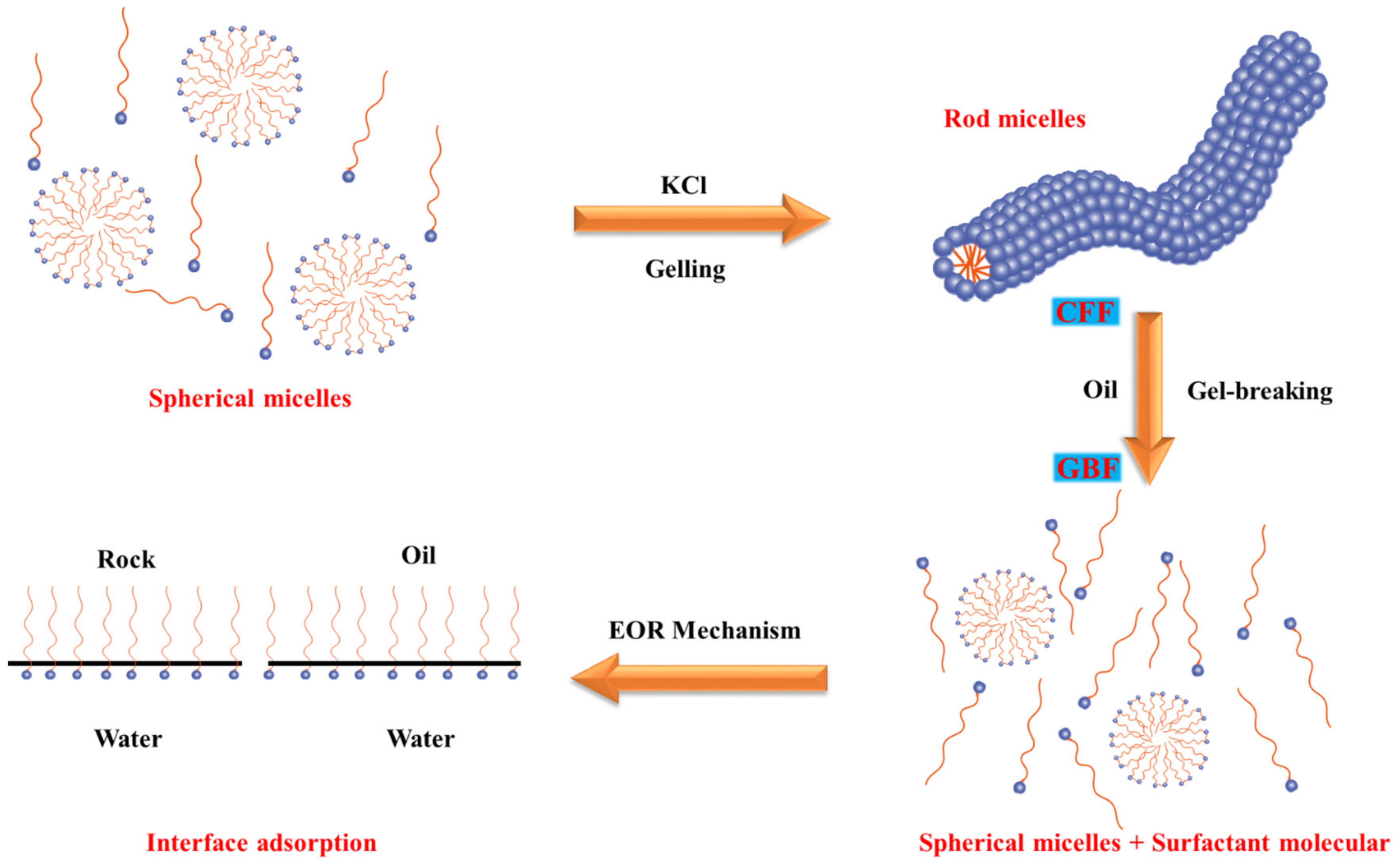 Polymers 16 00397 g008