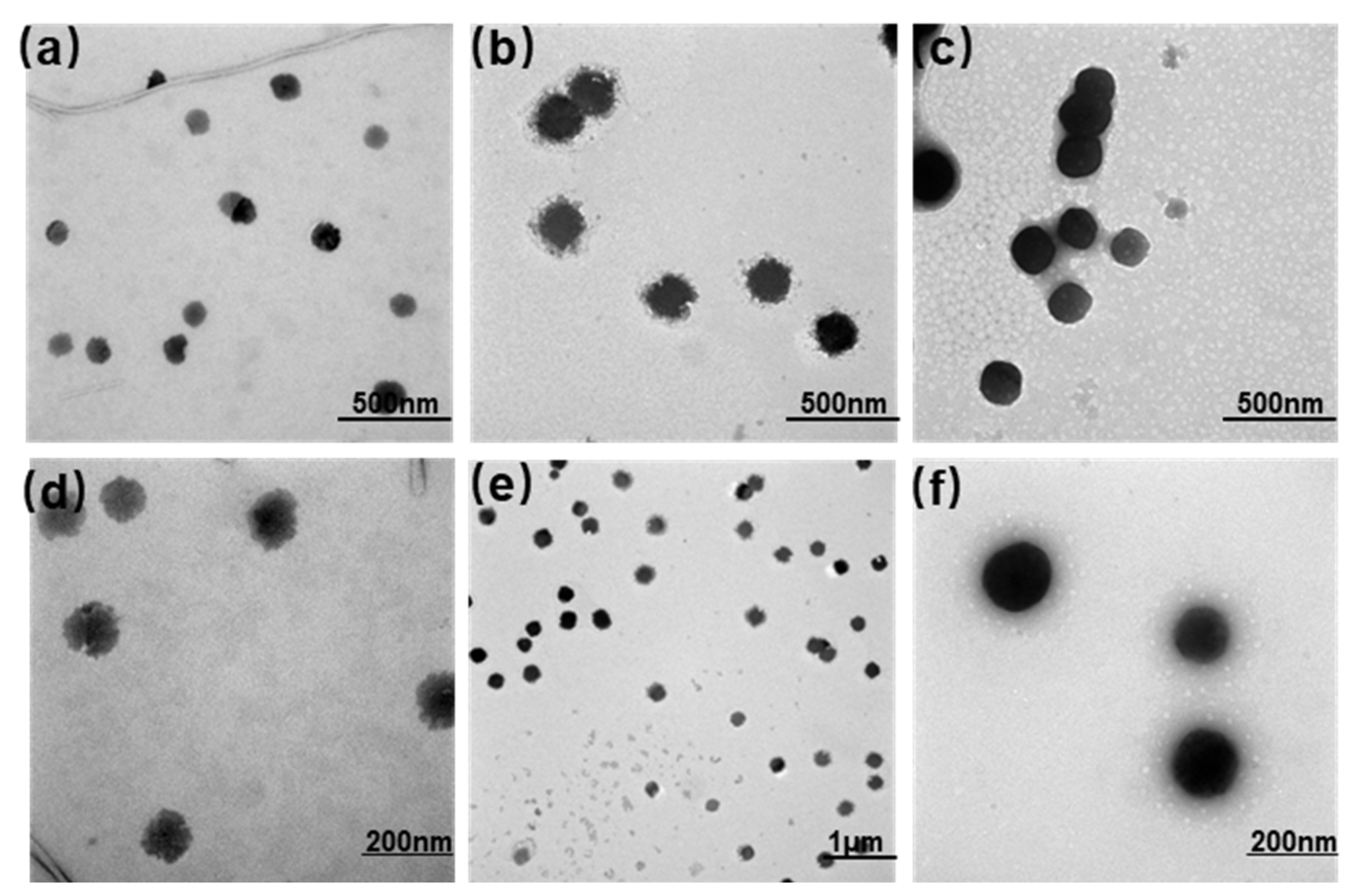 Polymers 16 00405 g001