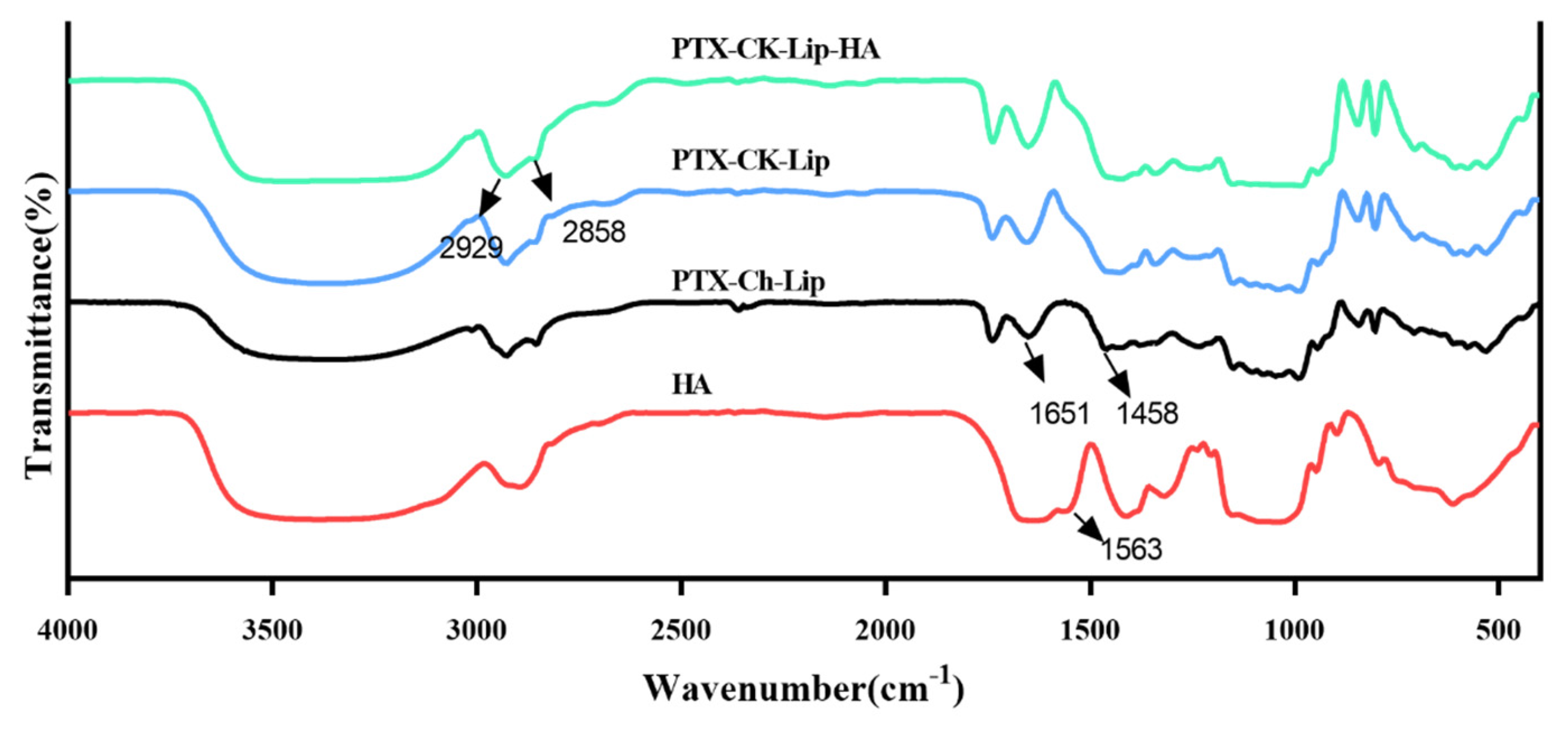 Polymers 16 00405 g002