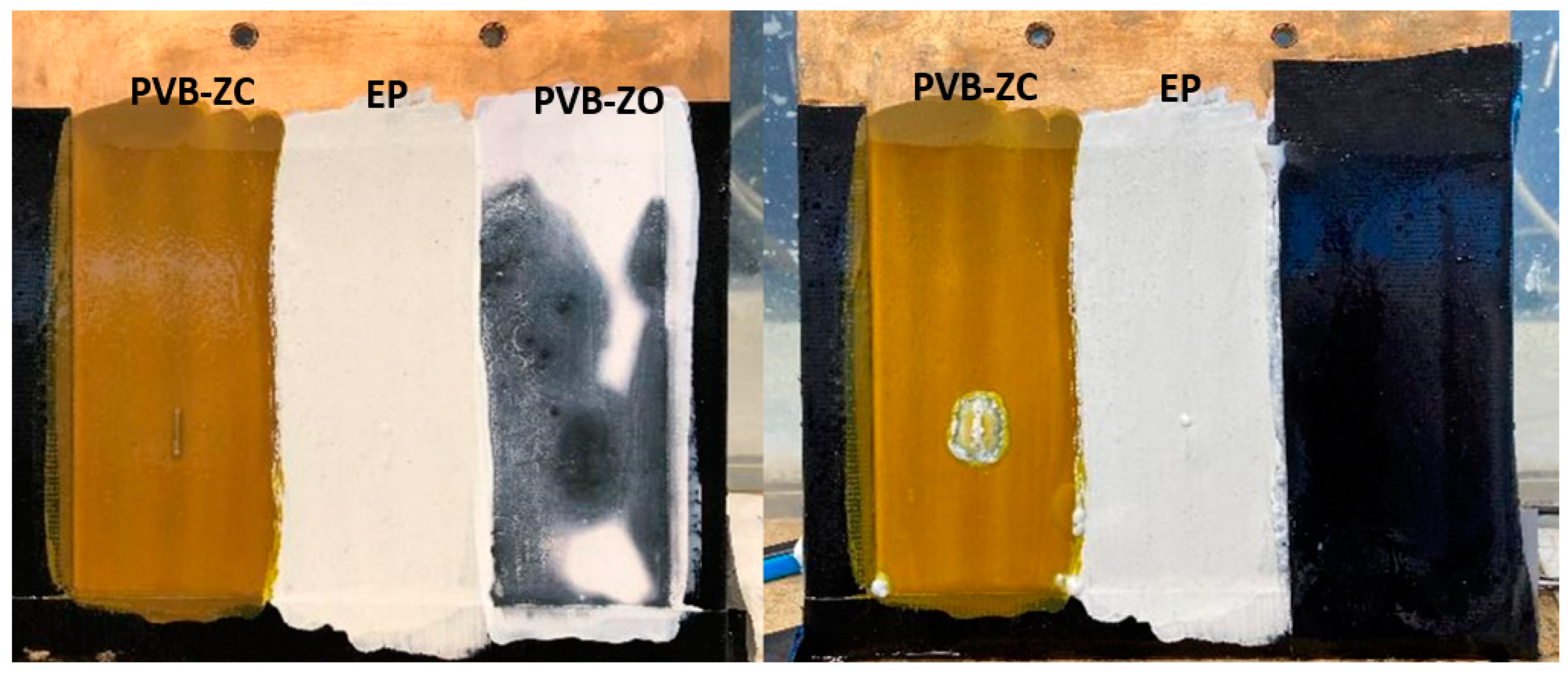 Polymers 16 00408 g010