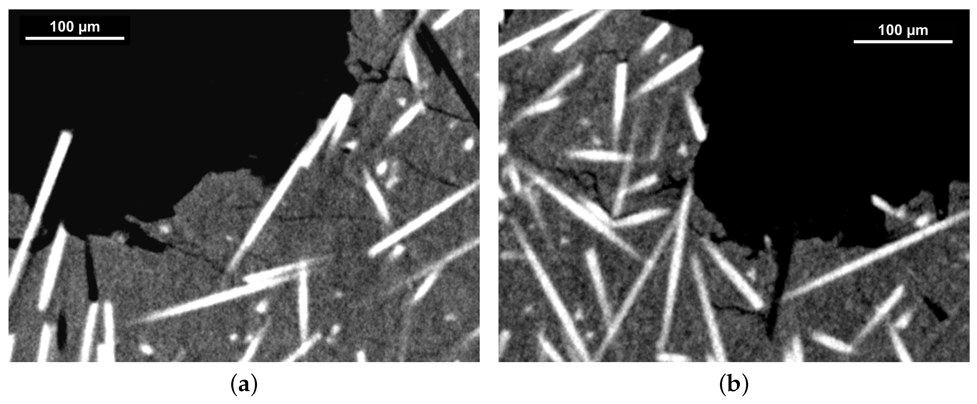 Polymers 16 00412 g008