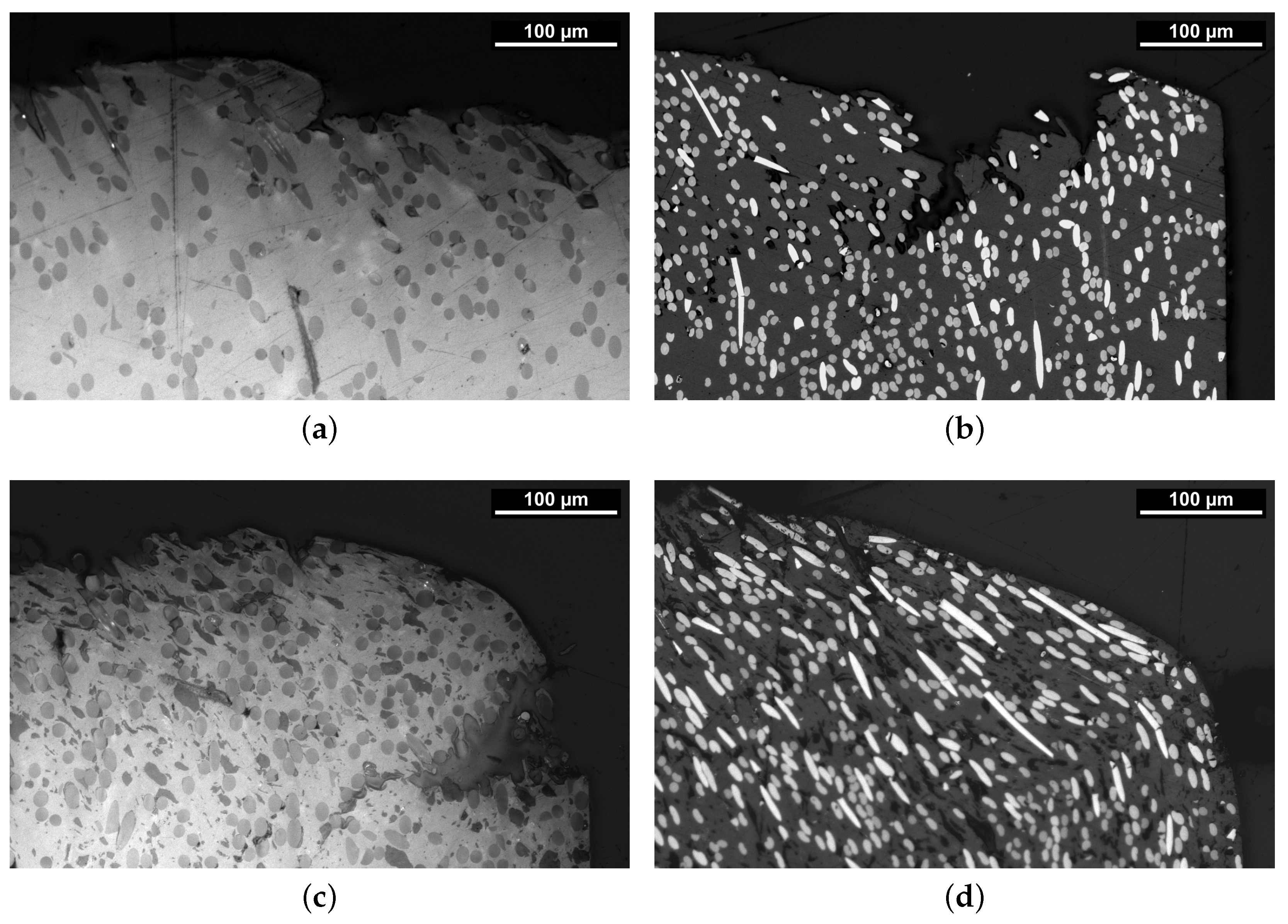 Polymers 16 00412 g010