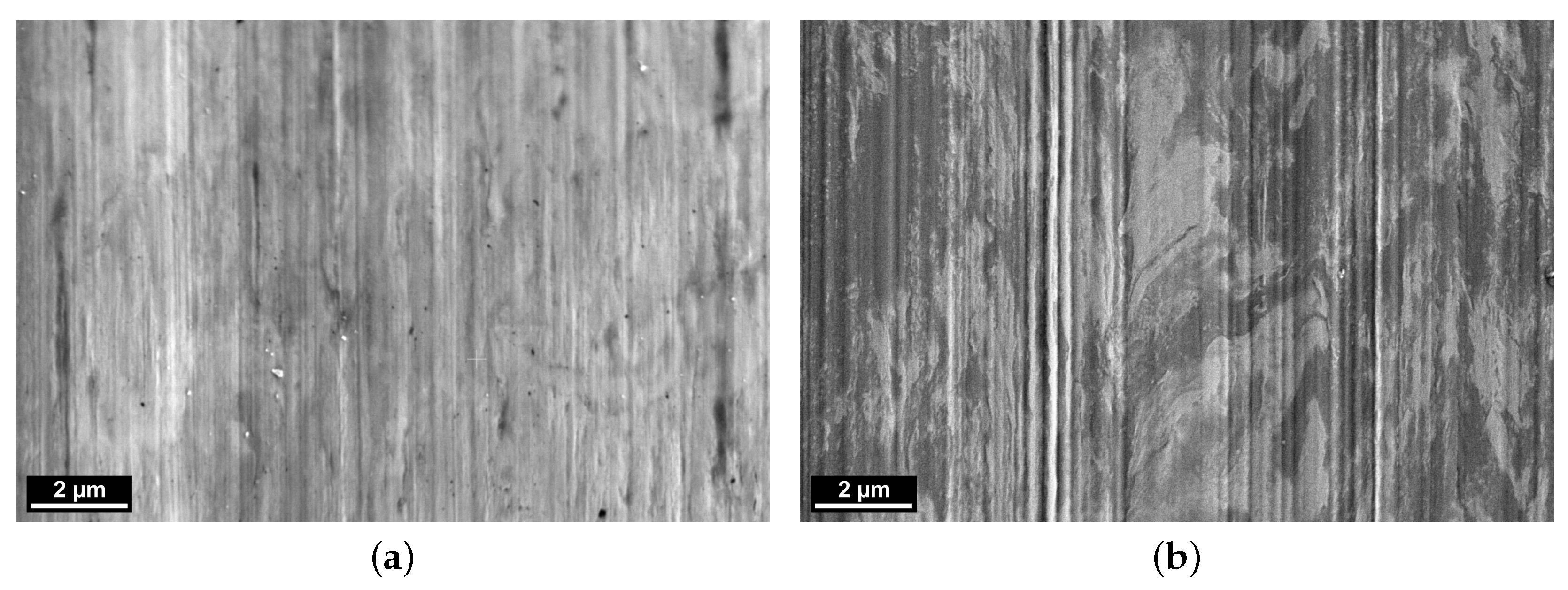 Polymers 16 00412 g012
