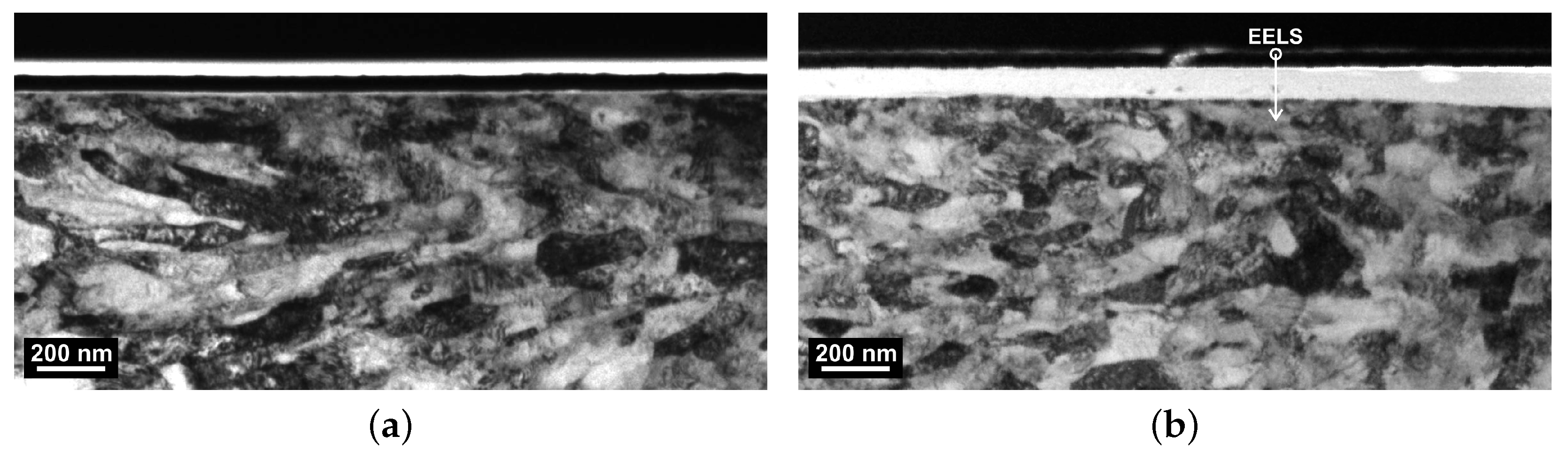 Polymers 16 00412 g013