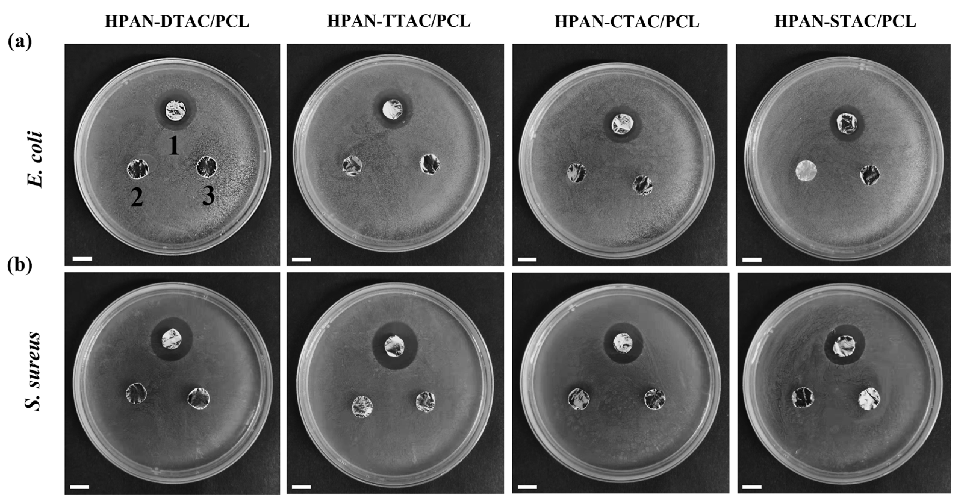 Polymers 16 00414 g008 Polymers 16 00414 g008