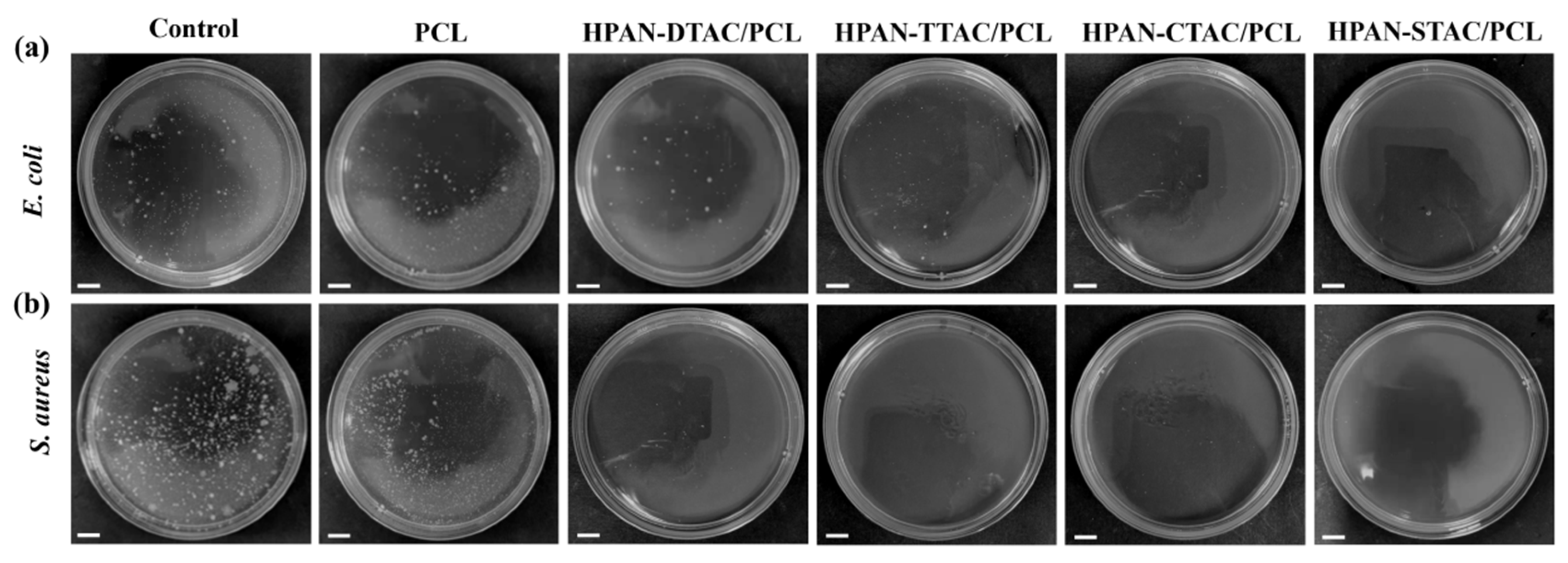 Polymers 16 00414 g009 Polymers 16 00414 g009