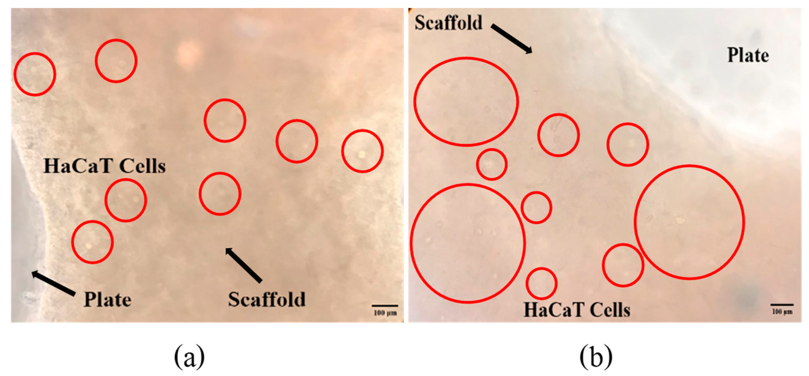 Polymers 16 00418 g008