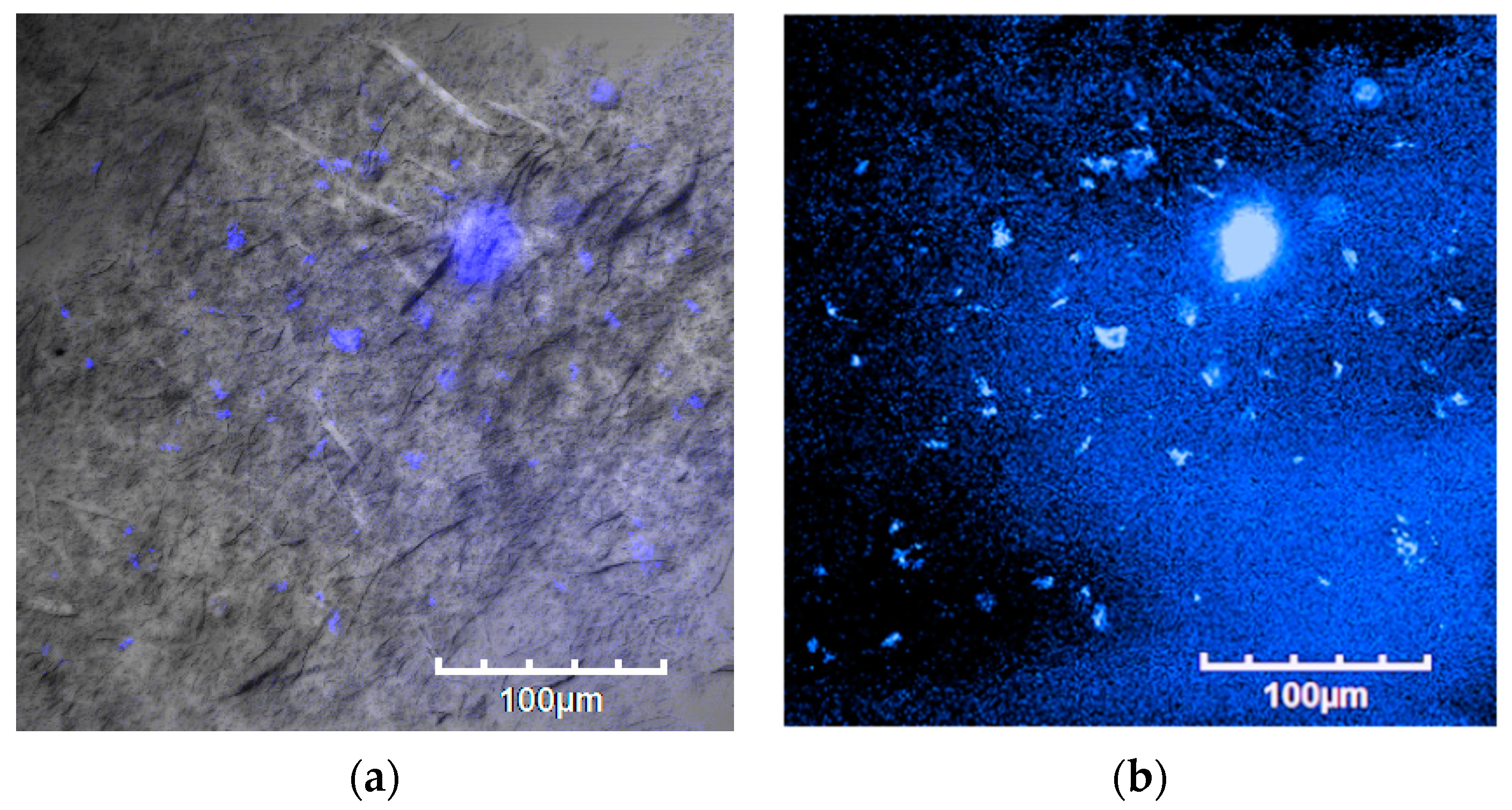 Polymers 16 00418 g009