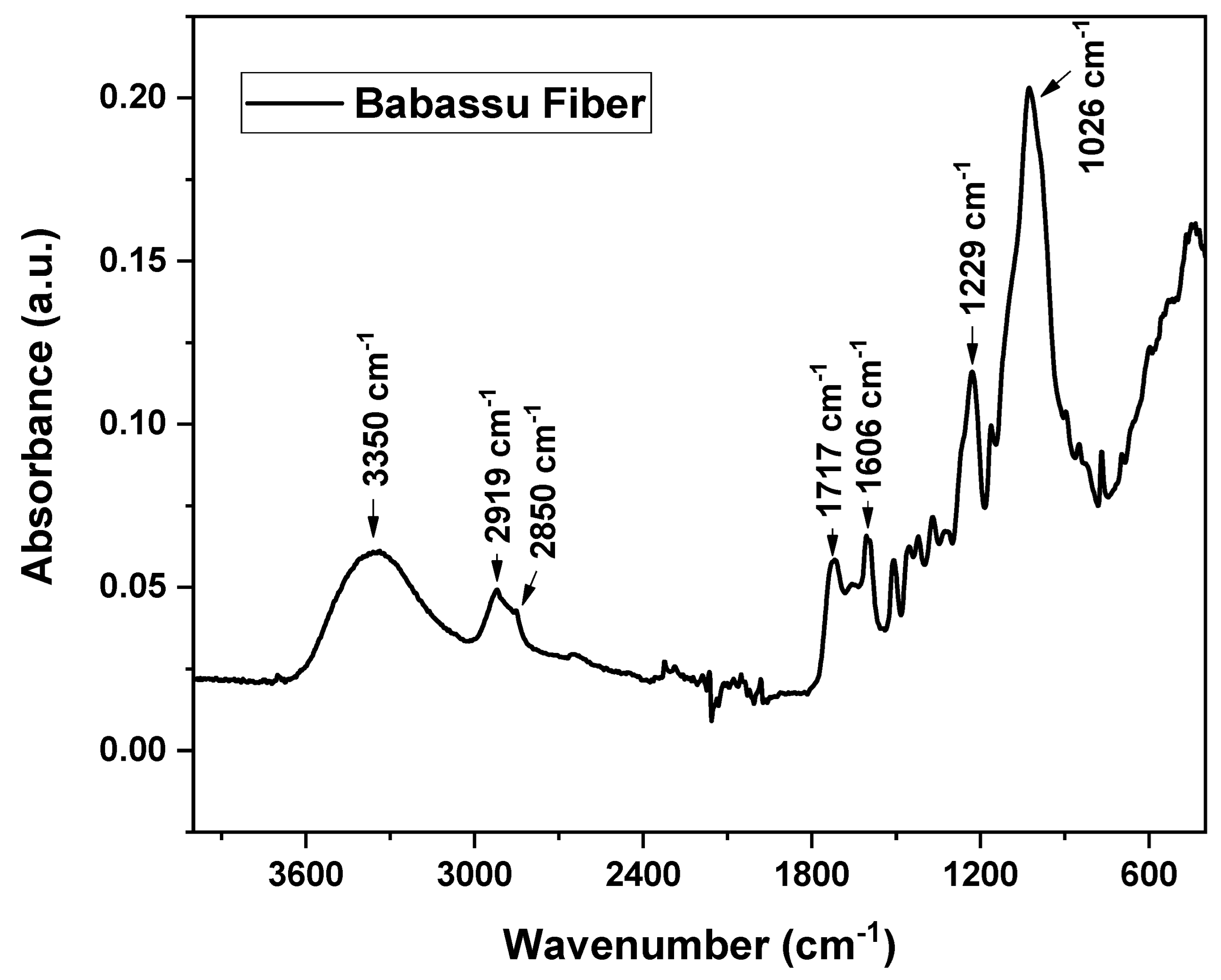 Polymers 16 00419 g002