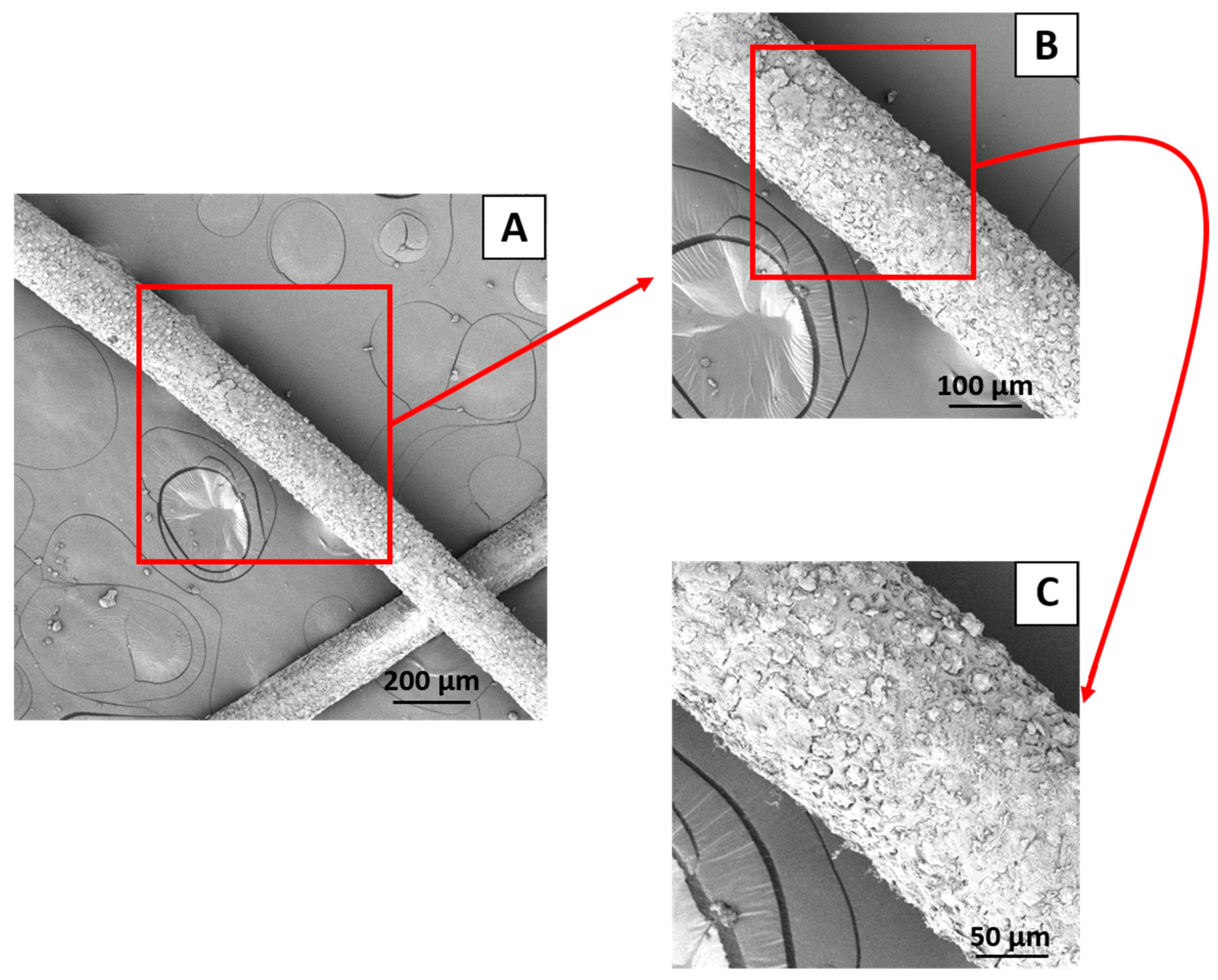 Polymers 16 00419 g004