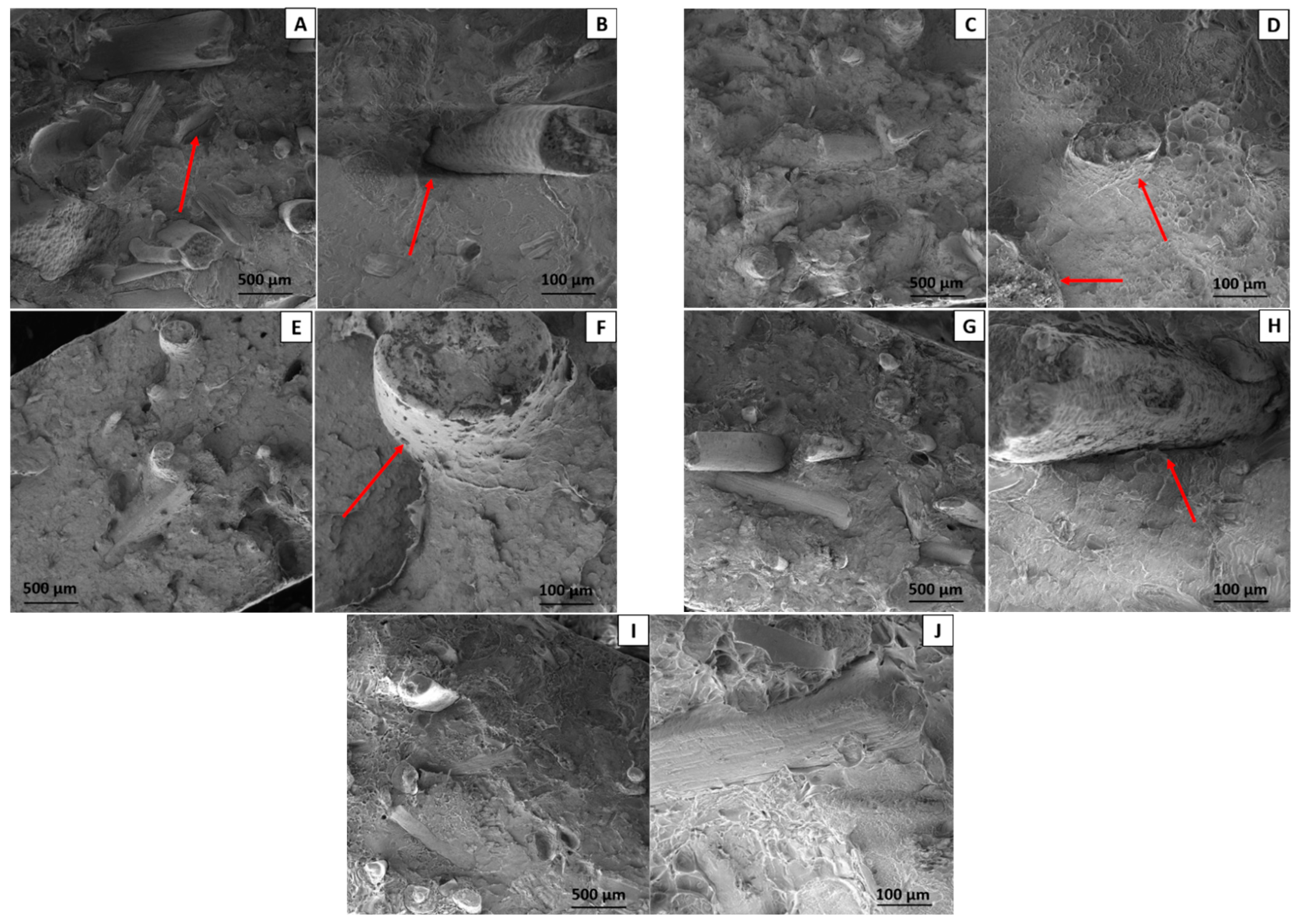 Polymers 16 00419 g012