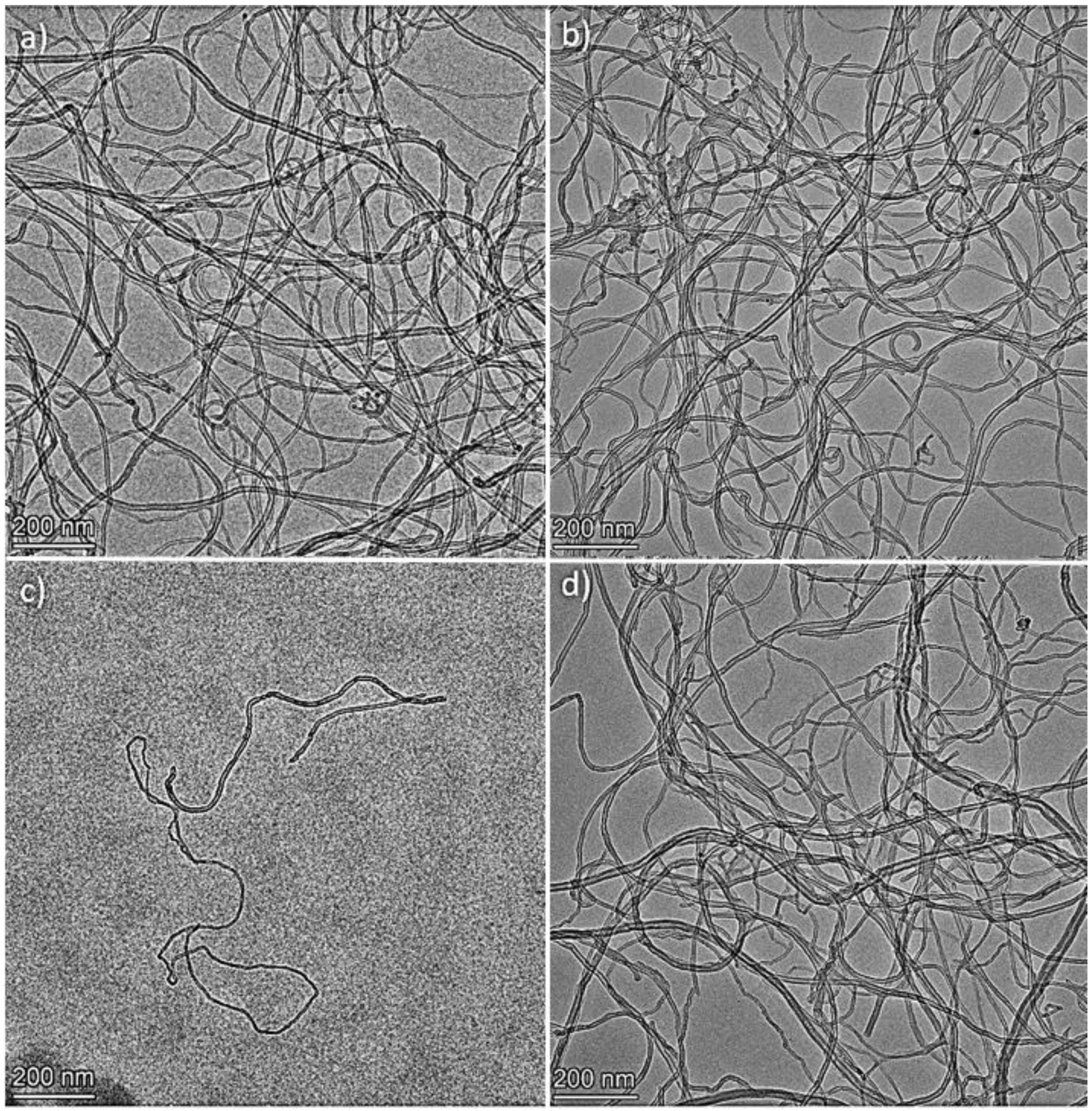 Polymers 16 00422 g004