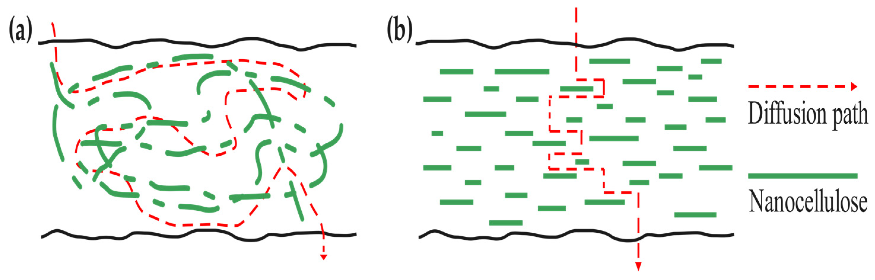 Polymers 16 00423 g006