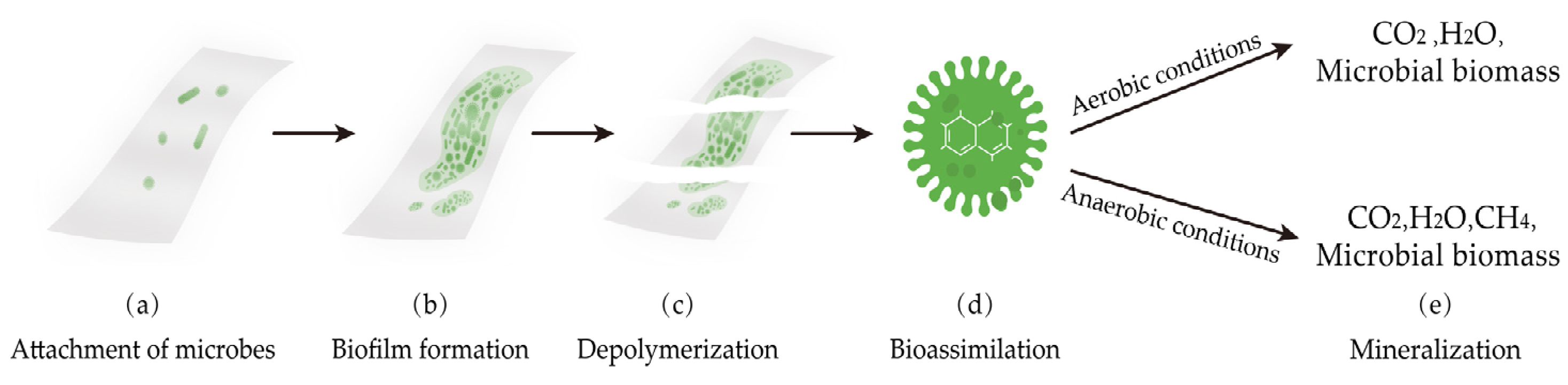 Polymers 16 00423 g008