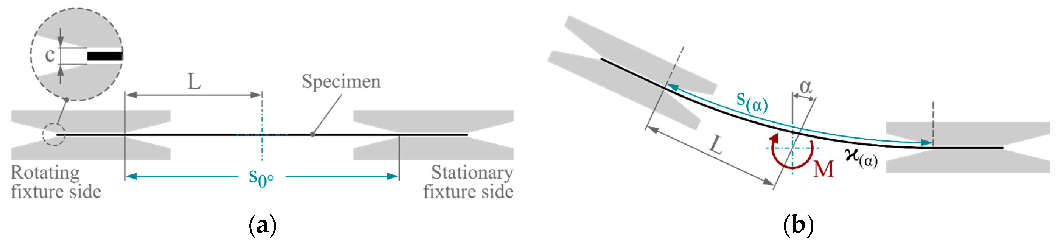 Polymers 16 00425 g001