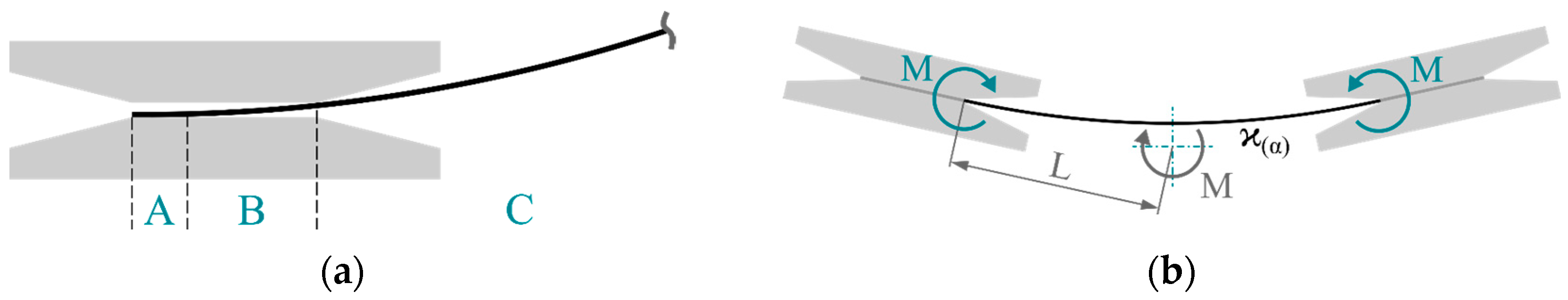 Polymers 16 00425 g003