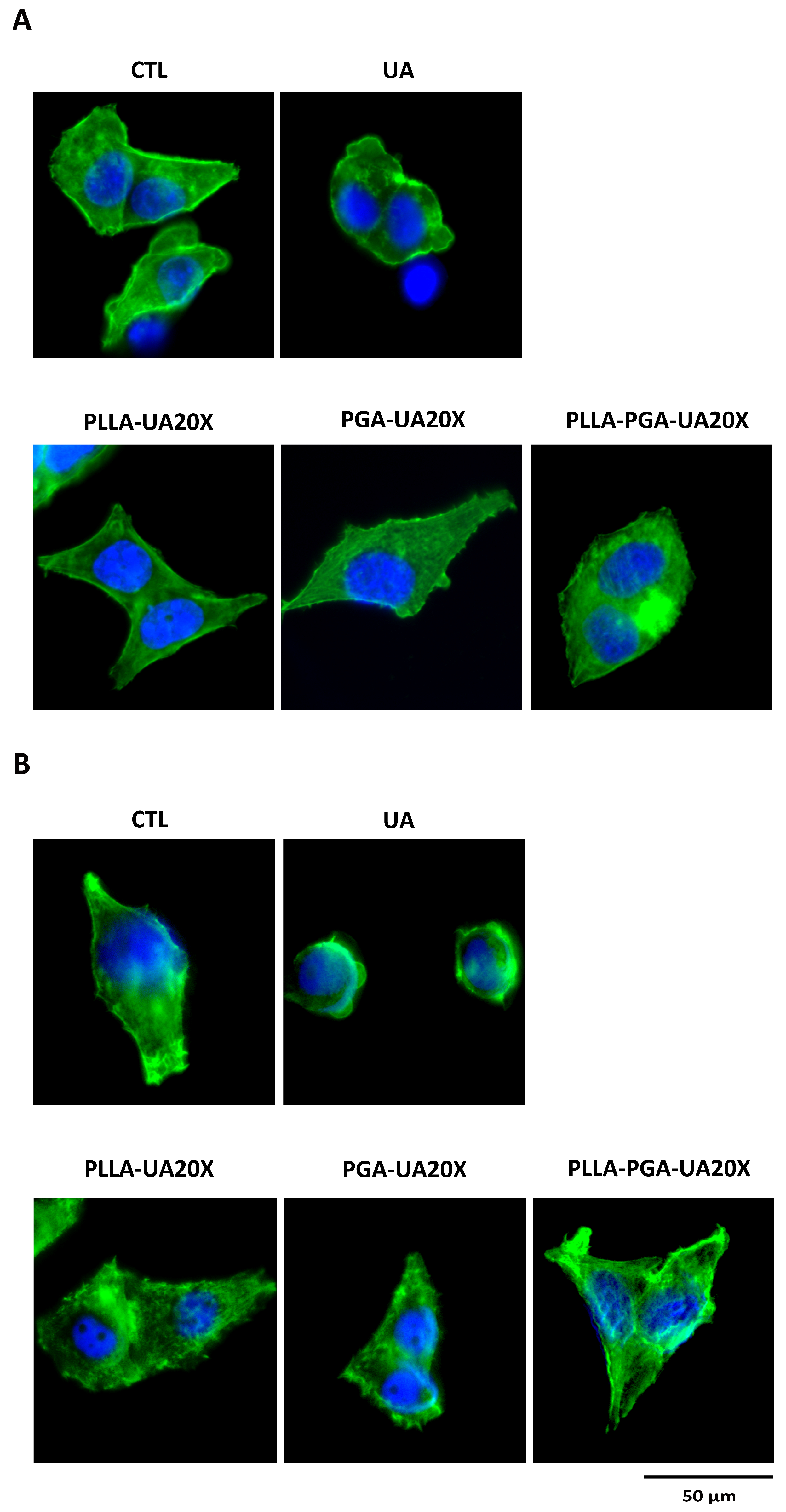Polymers 16 00427 g010