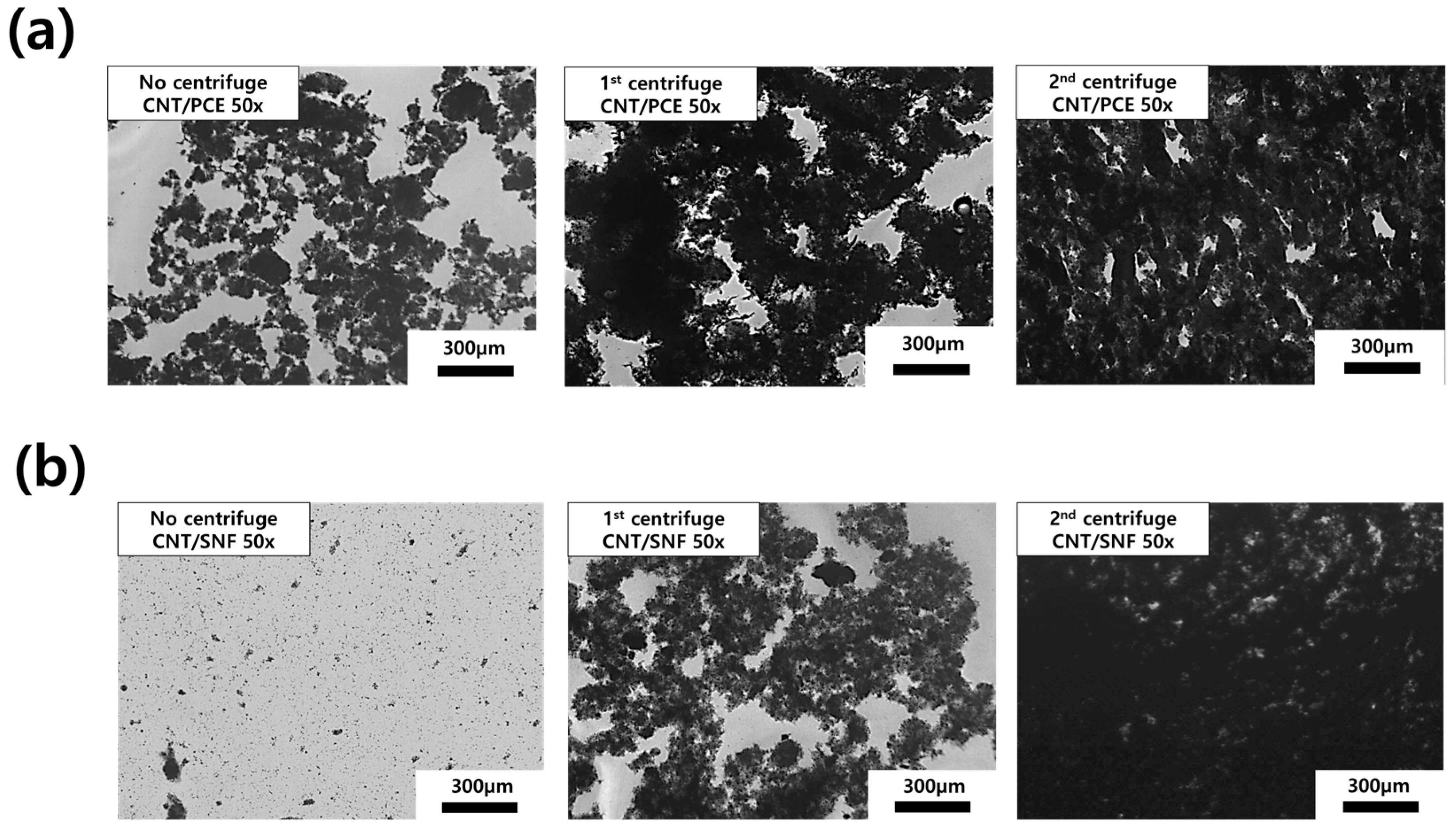 Polymers 16 00428 g003