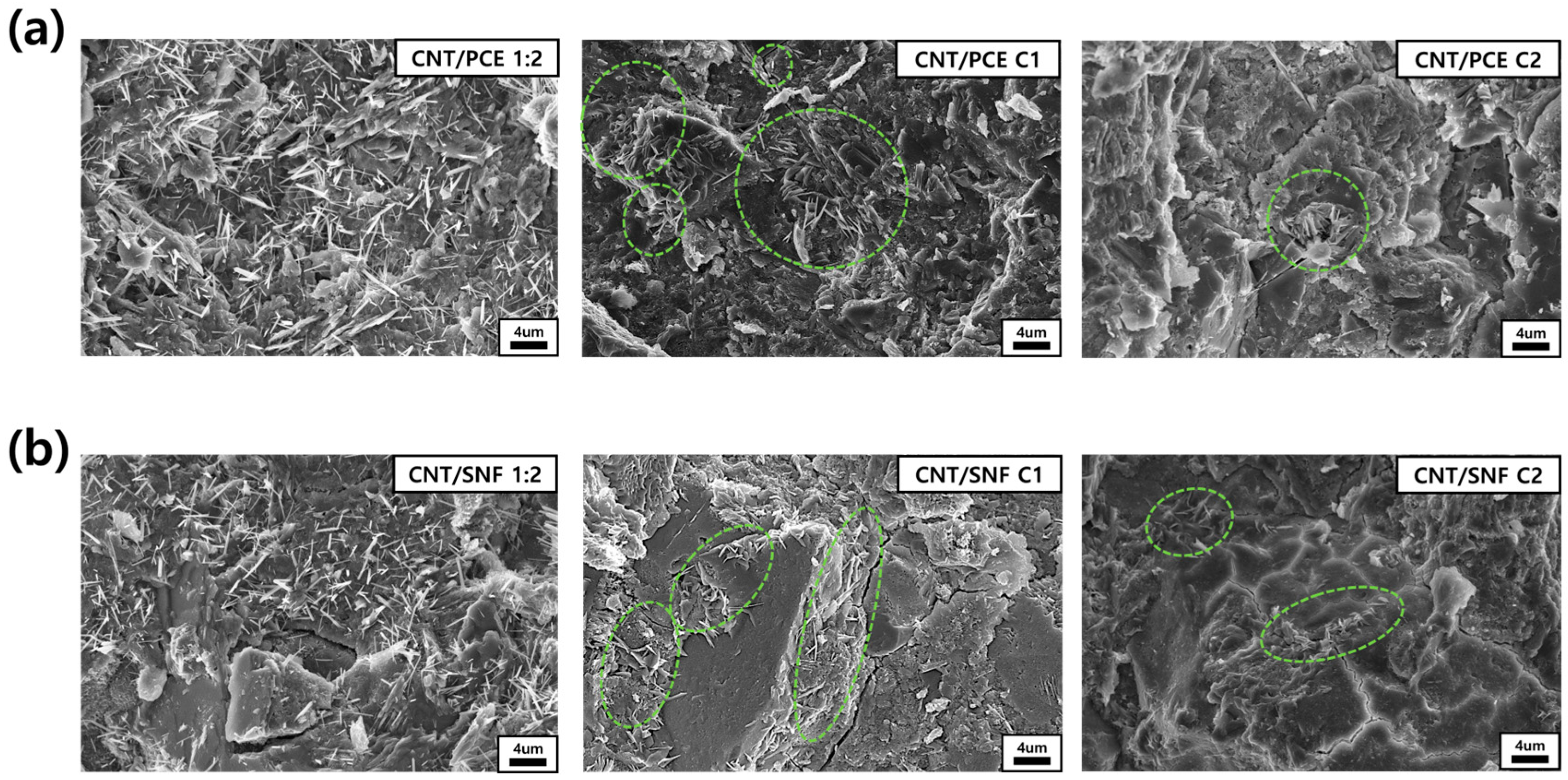 Polymers 16 00428 g009
