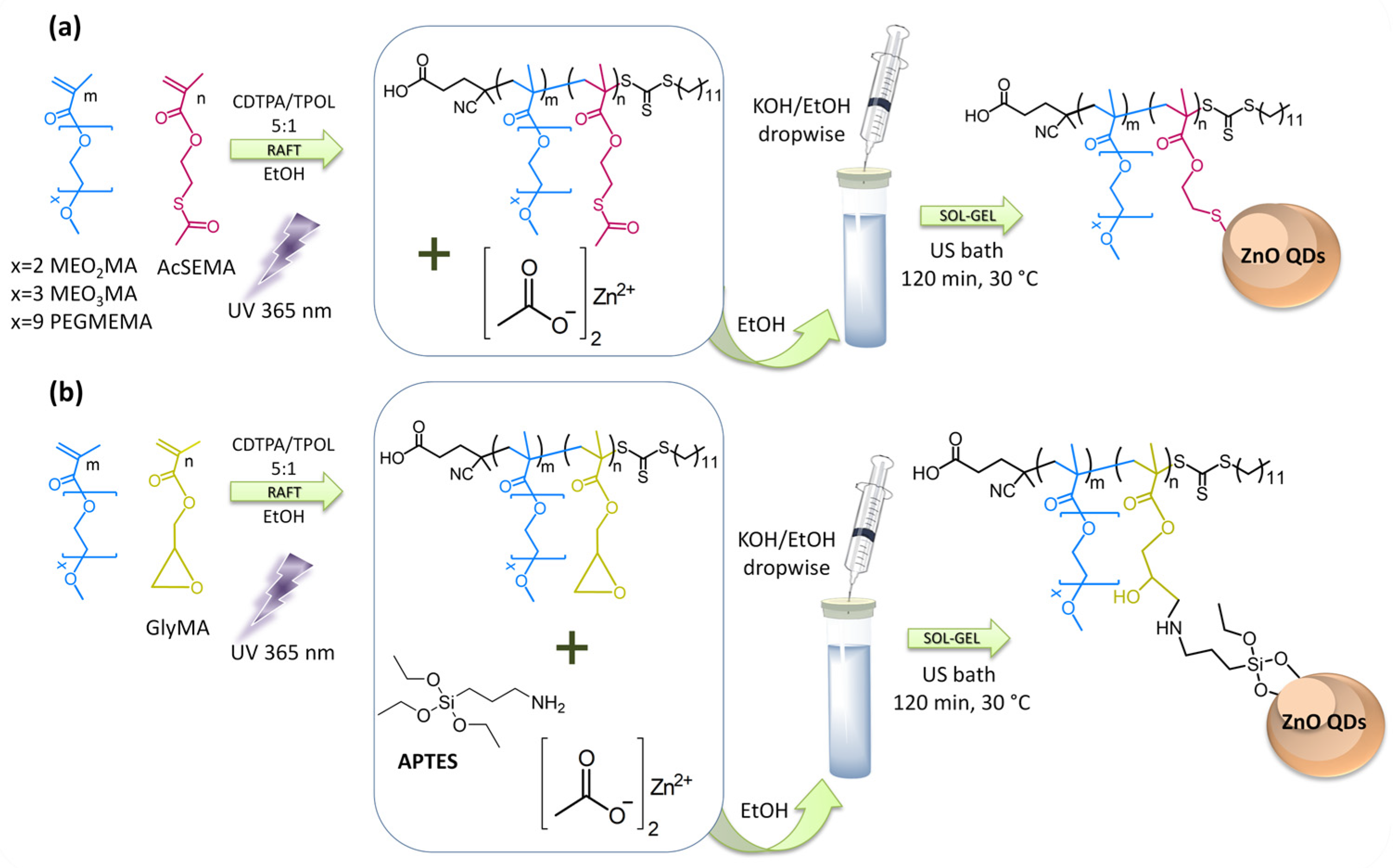 Polymers 16 00429 sch001
